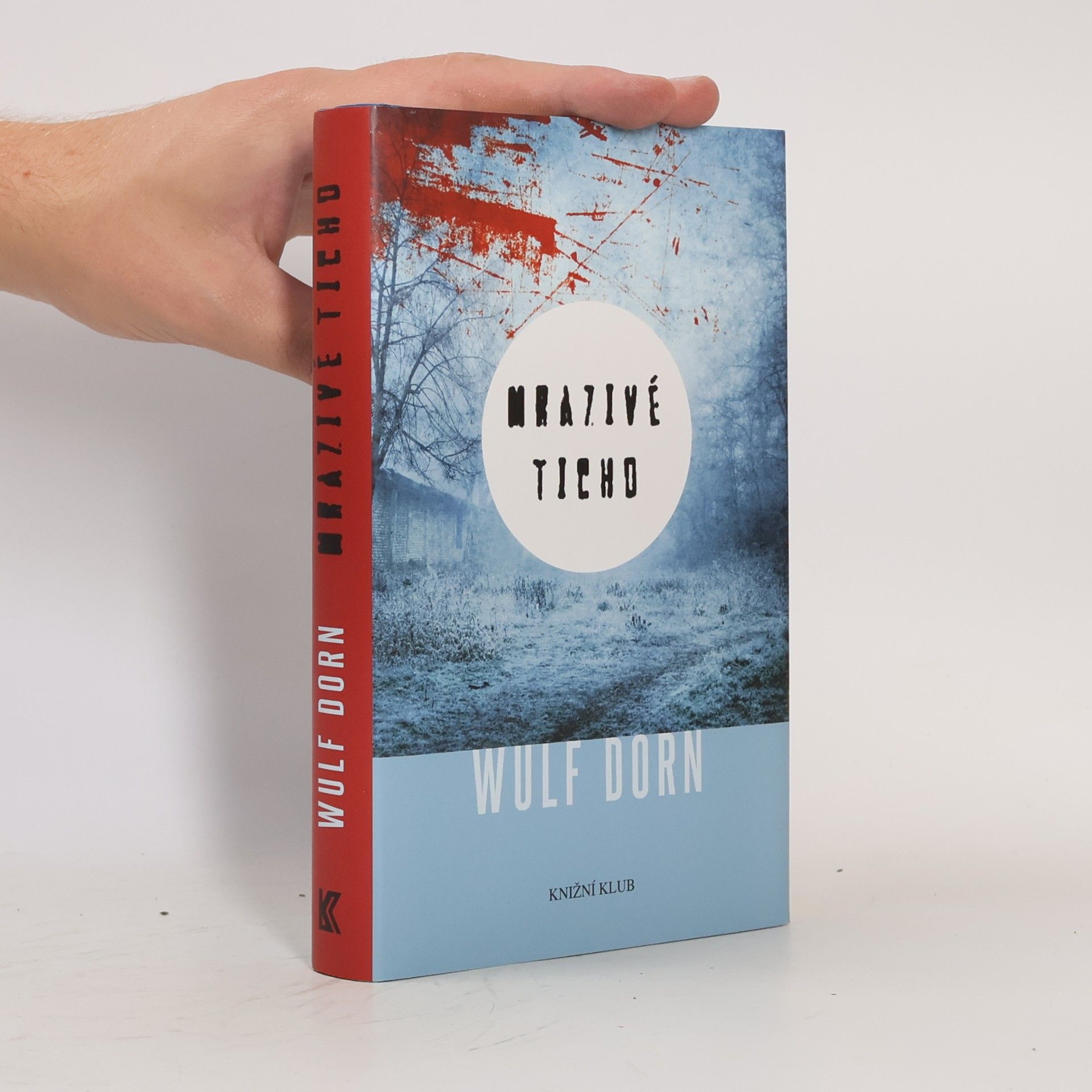 Wulf Dorn Mrazivé ticho