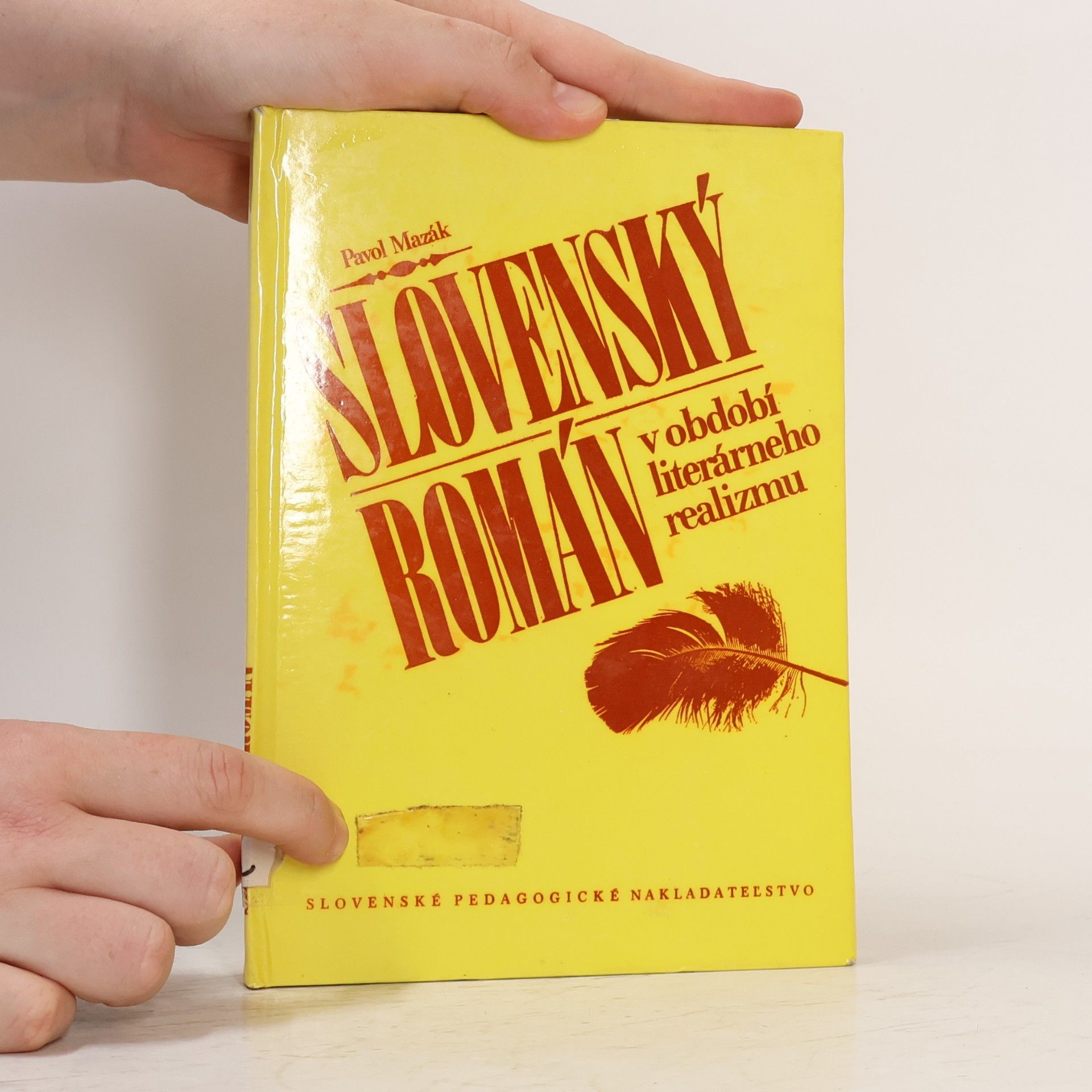 Pavol Mazák Slovenský román v období literárneho realizmu
