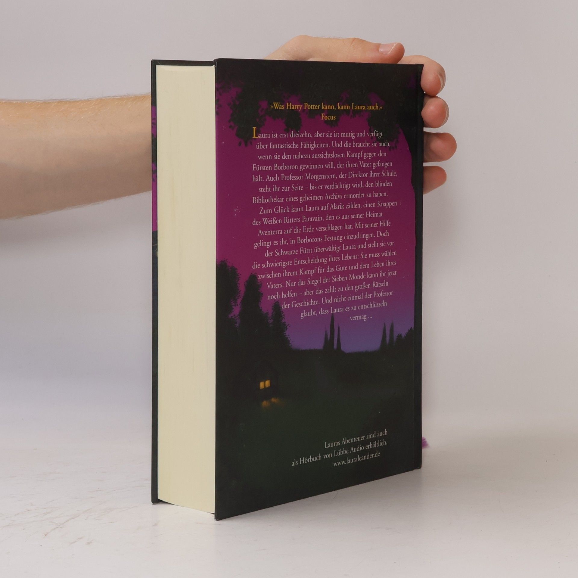 Peter Freund Laura und das Siegel der sieben Monde