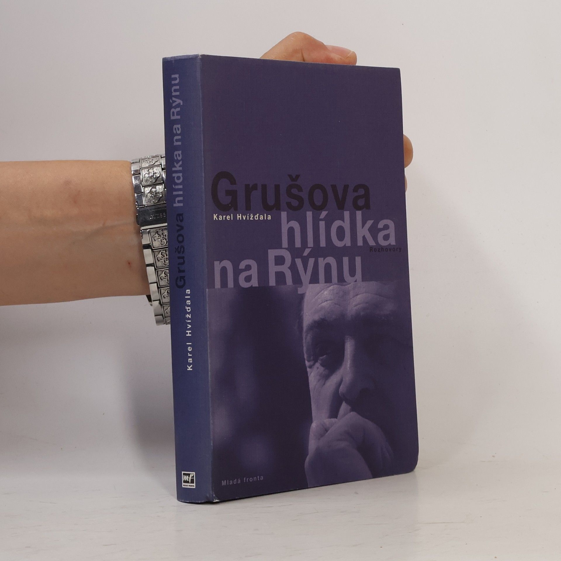 Jiří Gruša Grušova hlídka na Rýnu: Rozhovory z let 1983-2011
