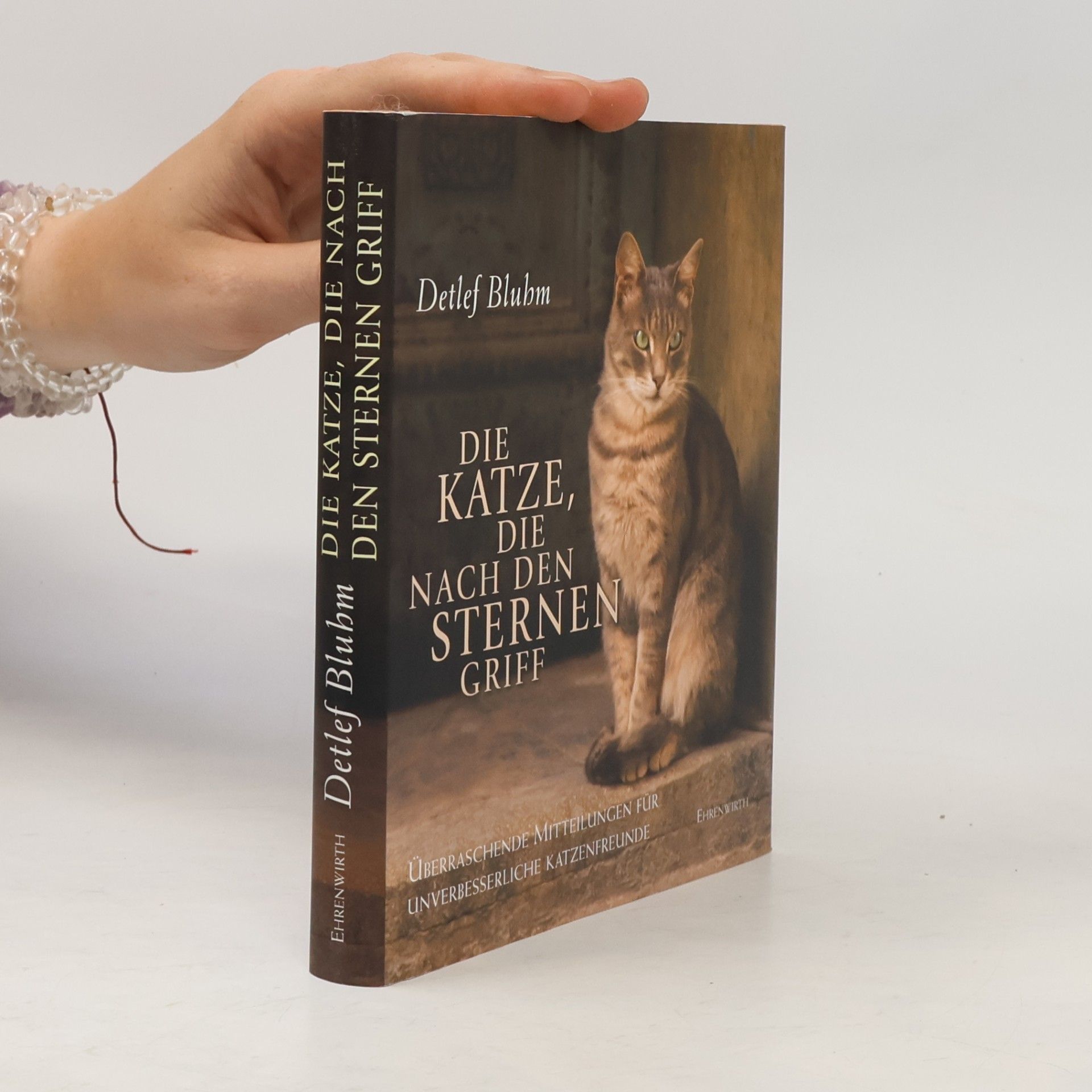 Detlef Bluhm Die Katze, die nach den Sternen griff