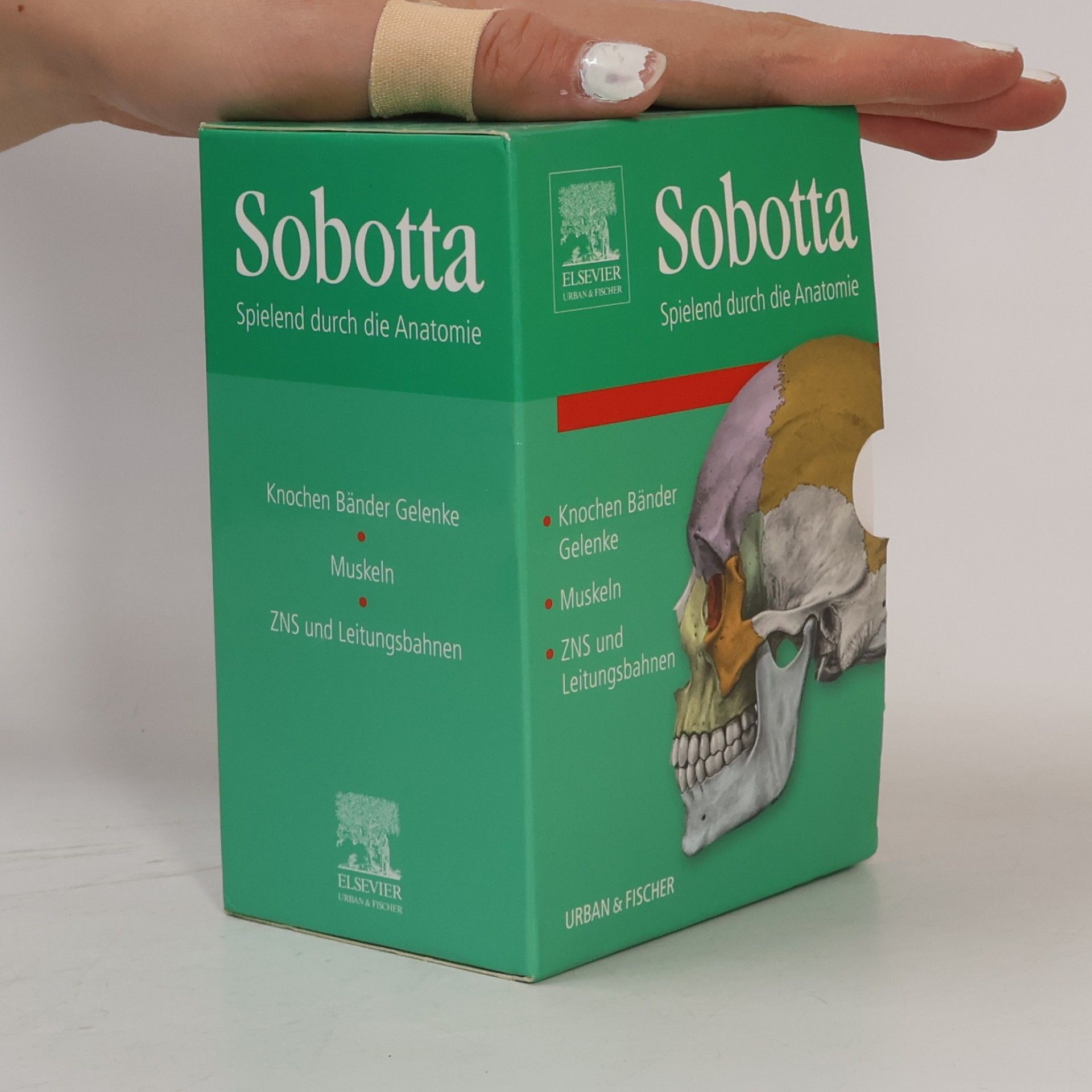 Collectif d'auteurs Sobotta Spielend durch die Anatomie