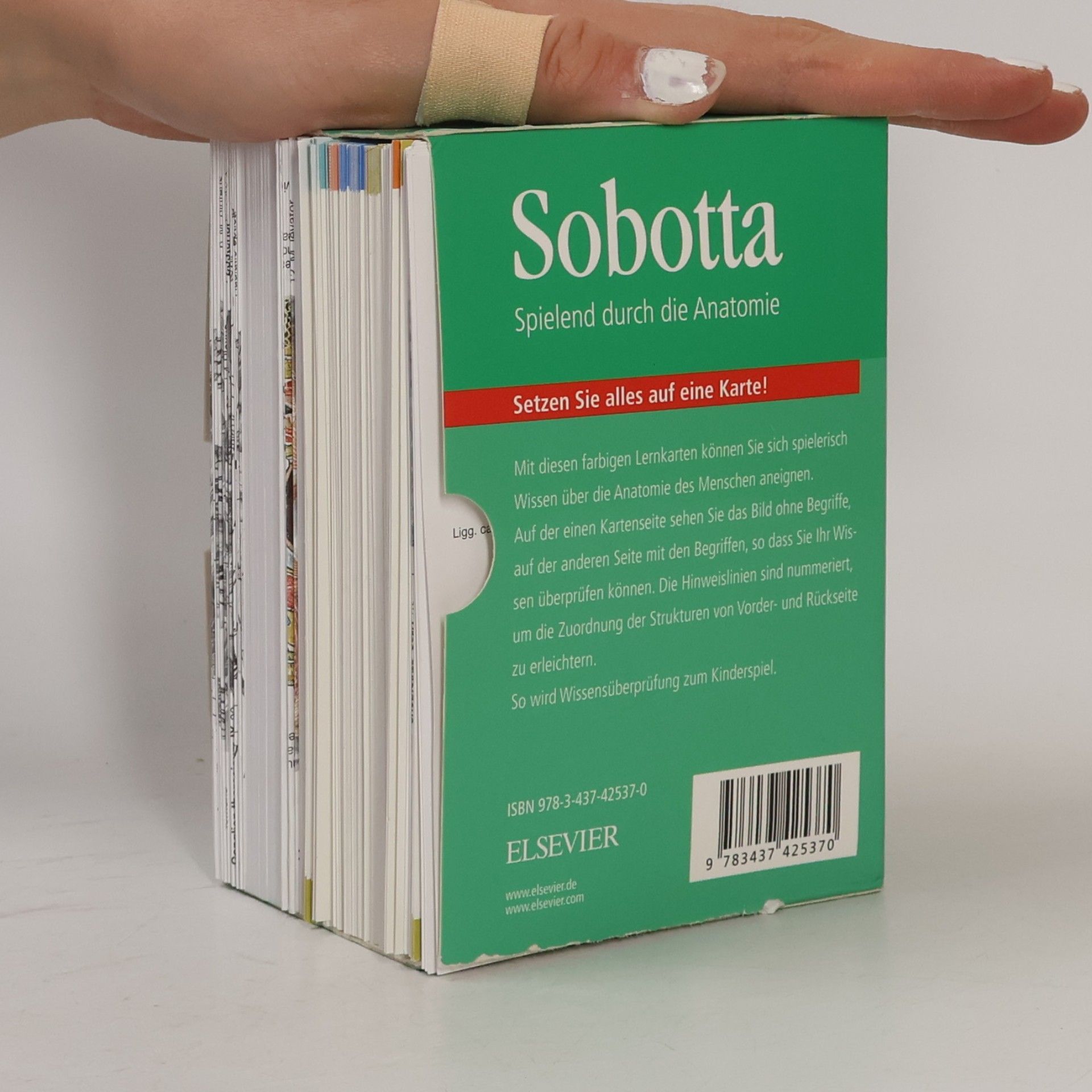 Kolektiv autorů Sobotta Spielend durch die Anatomie