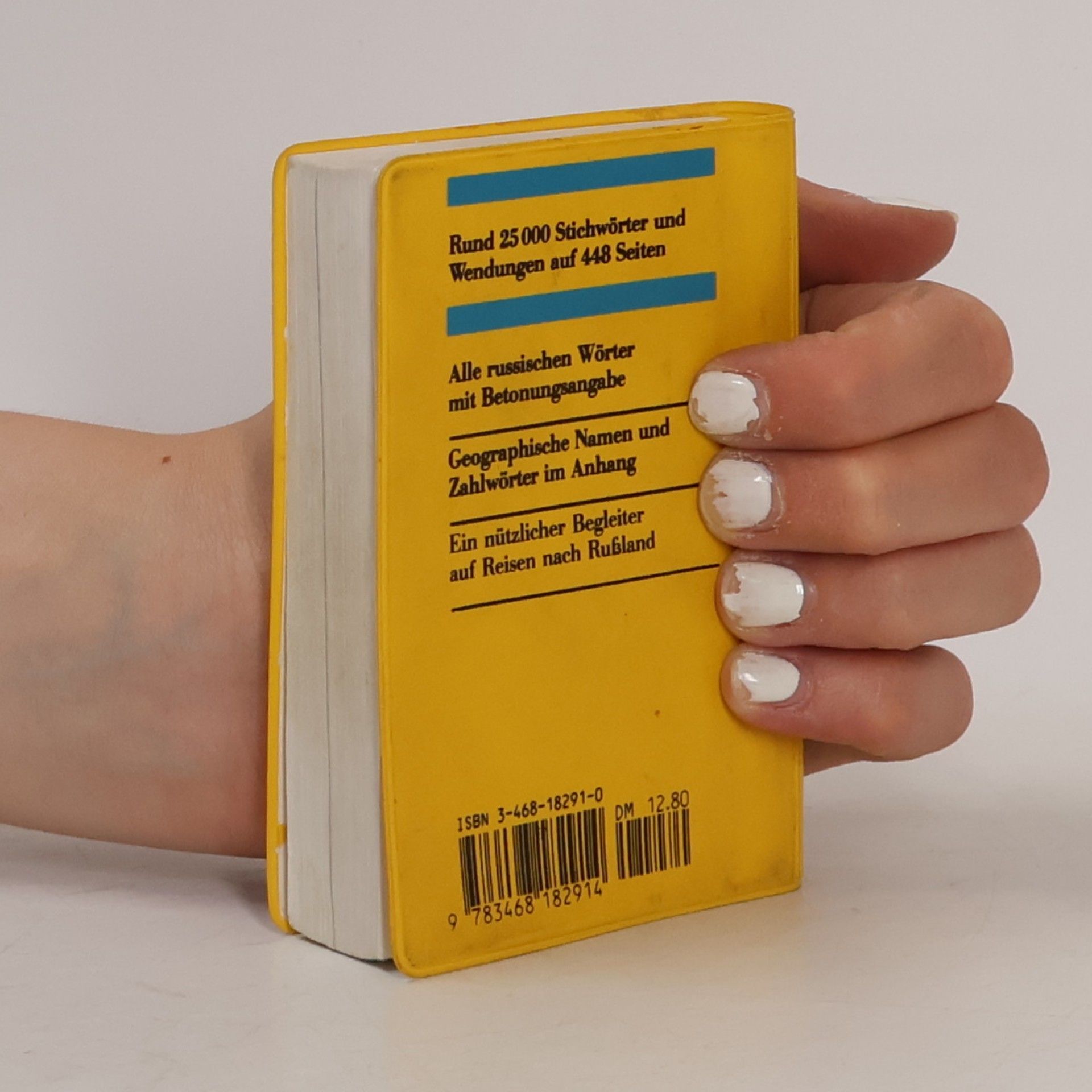 Lidia Zajčenko Langenscheidts Universal-Wörterbuch Russisch