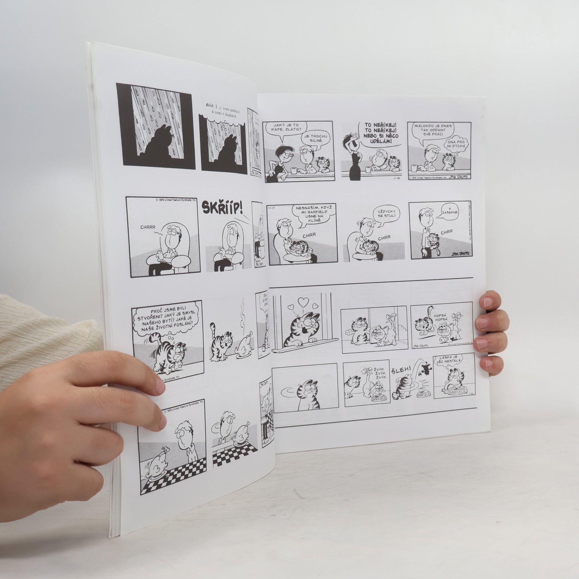 Jim Davis Garfield v nadživotní velikosti