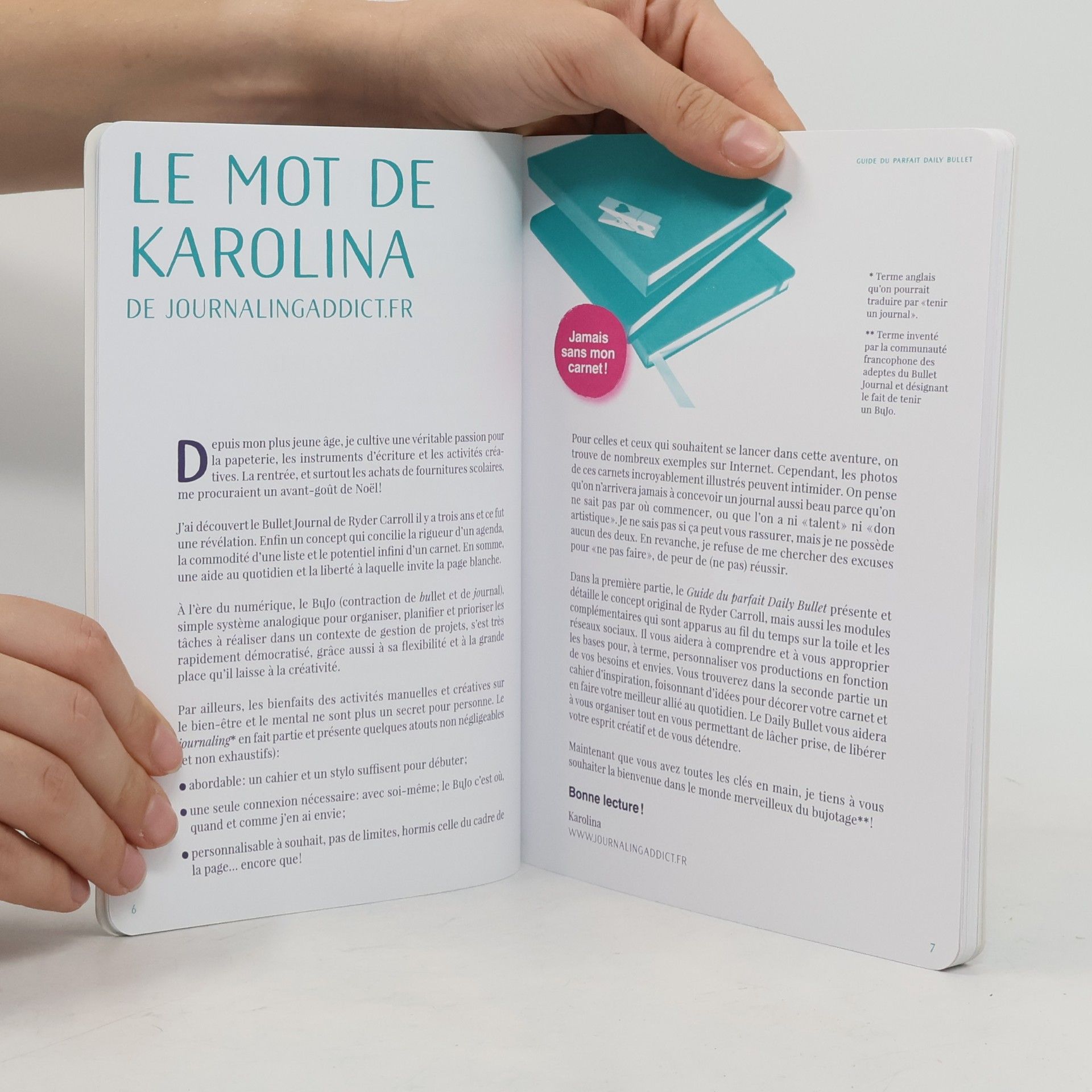 Karolina Guide du parfait daily bullet
