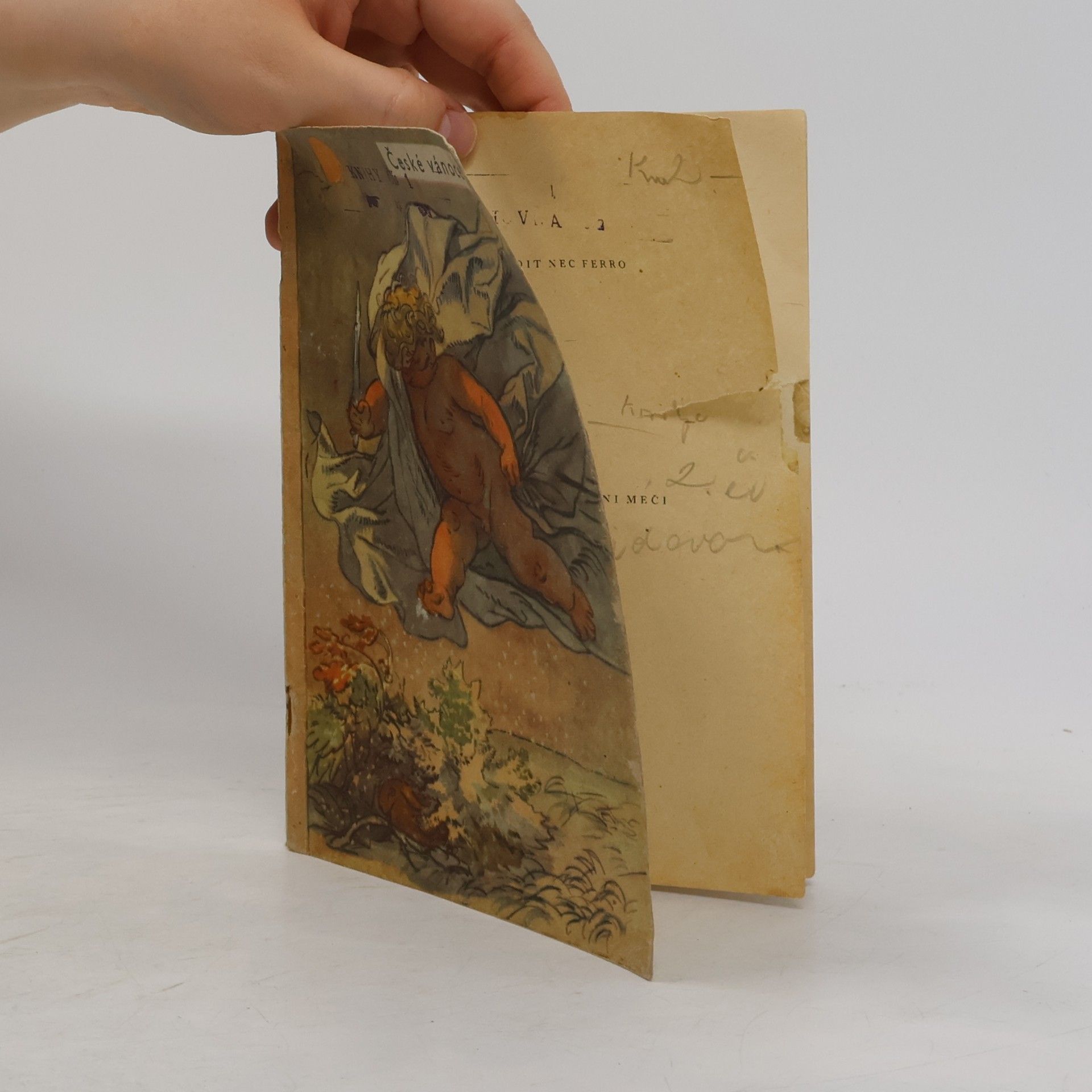 Collectif d'auteurs České vánoce