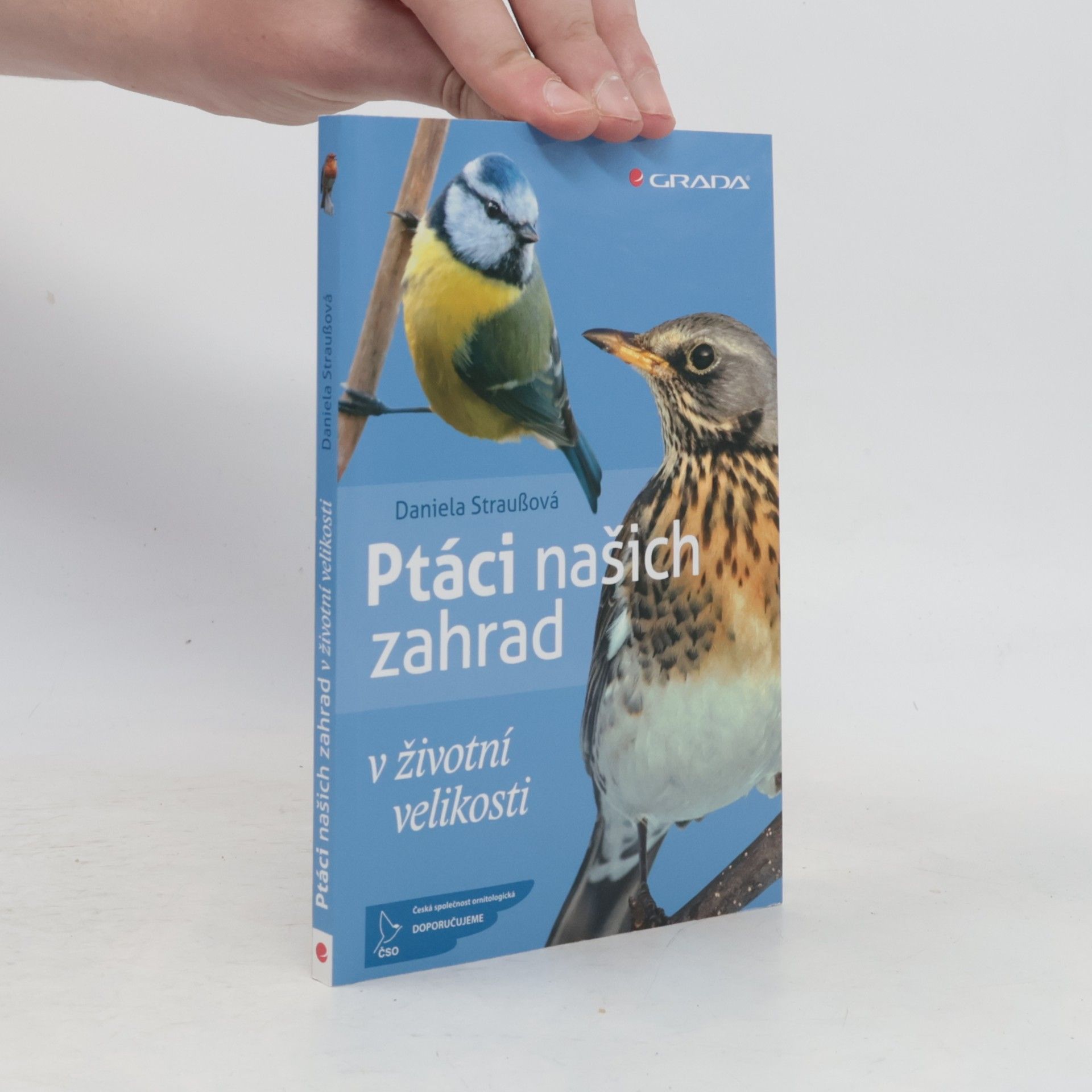 Daniela Strauß Ptáci našich zahrad : v životní velikosti