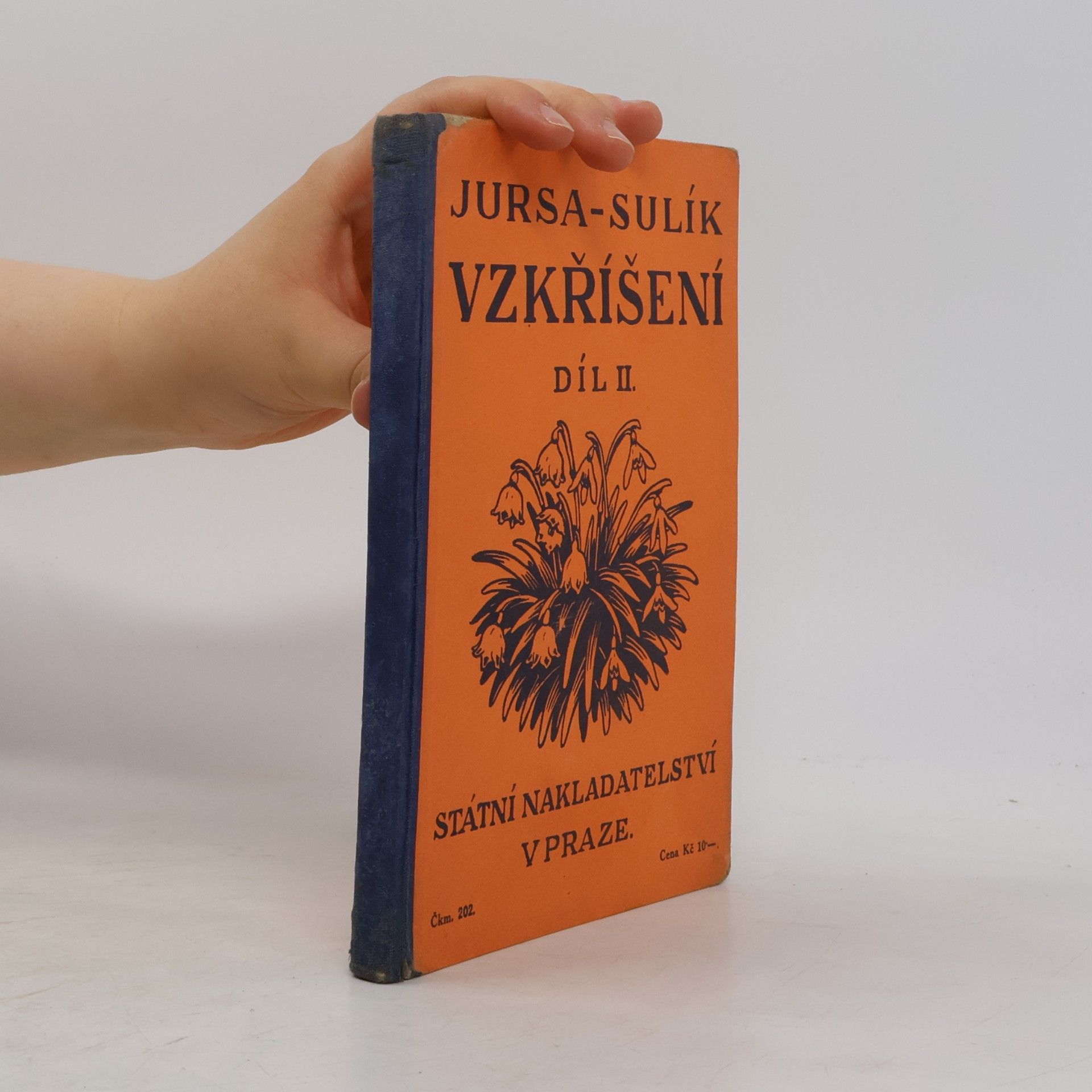 Vzkříšení II.