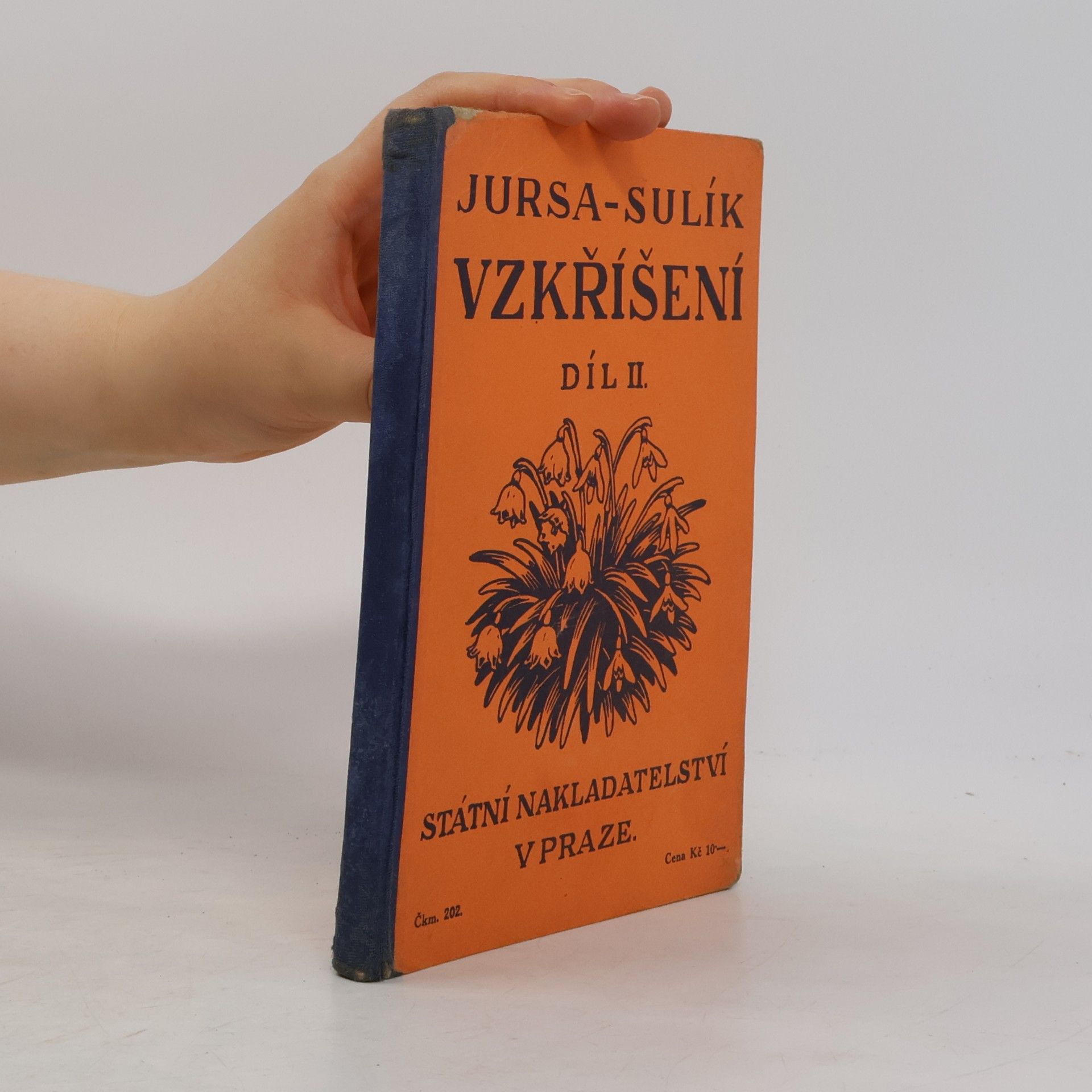 Jan Jursa Vzkříšení II.