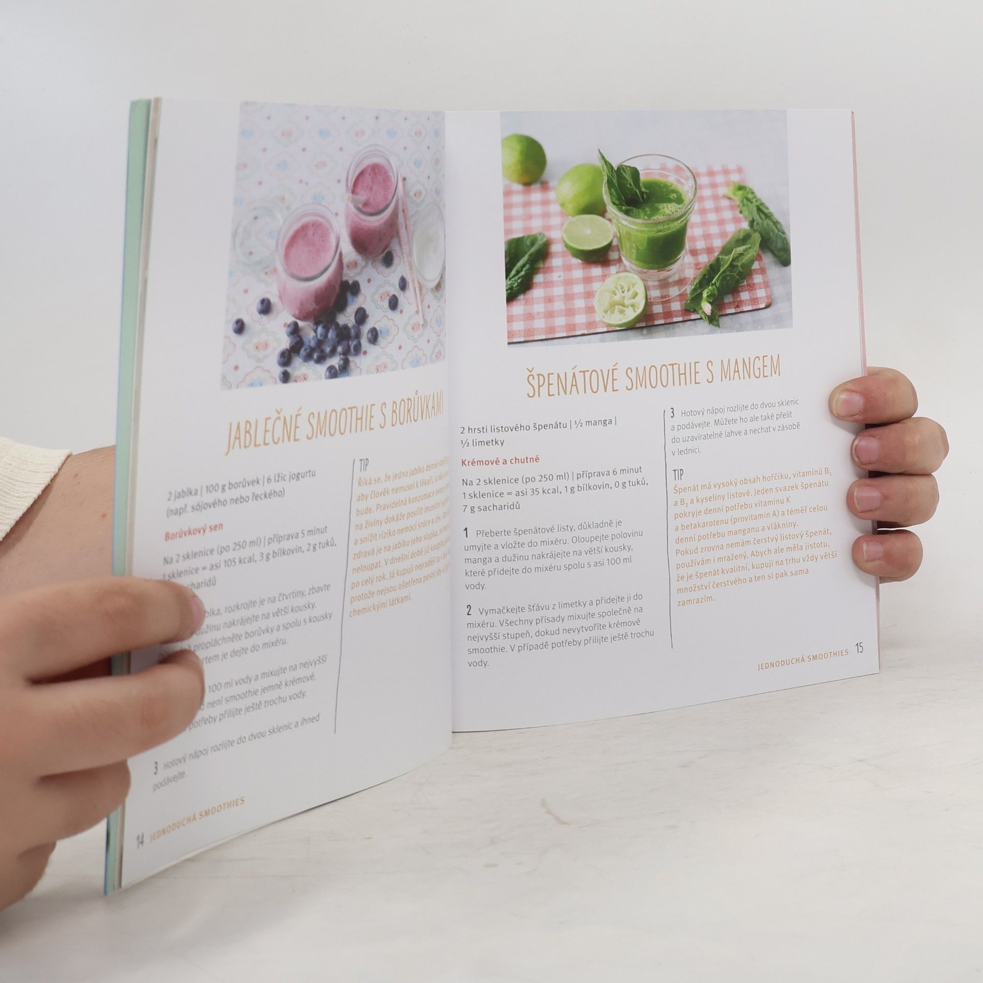 Nicole Staabs Detoxikační smoothies - Zdravé nápoje pro očistu organismu