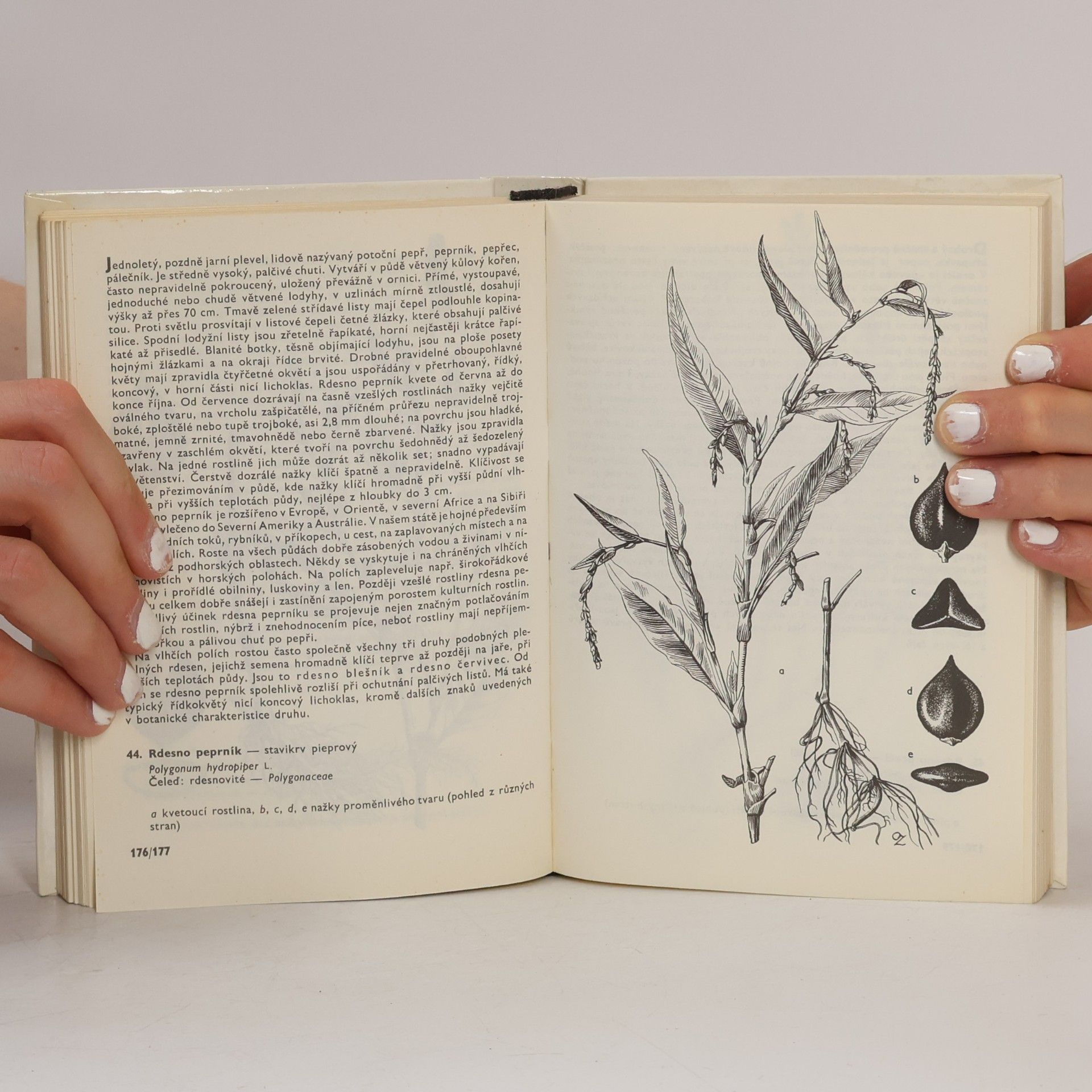František Hron Kapesní atlas. Rostliny polí a zahrad