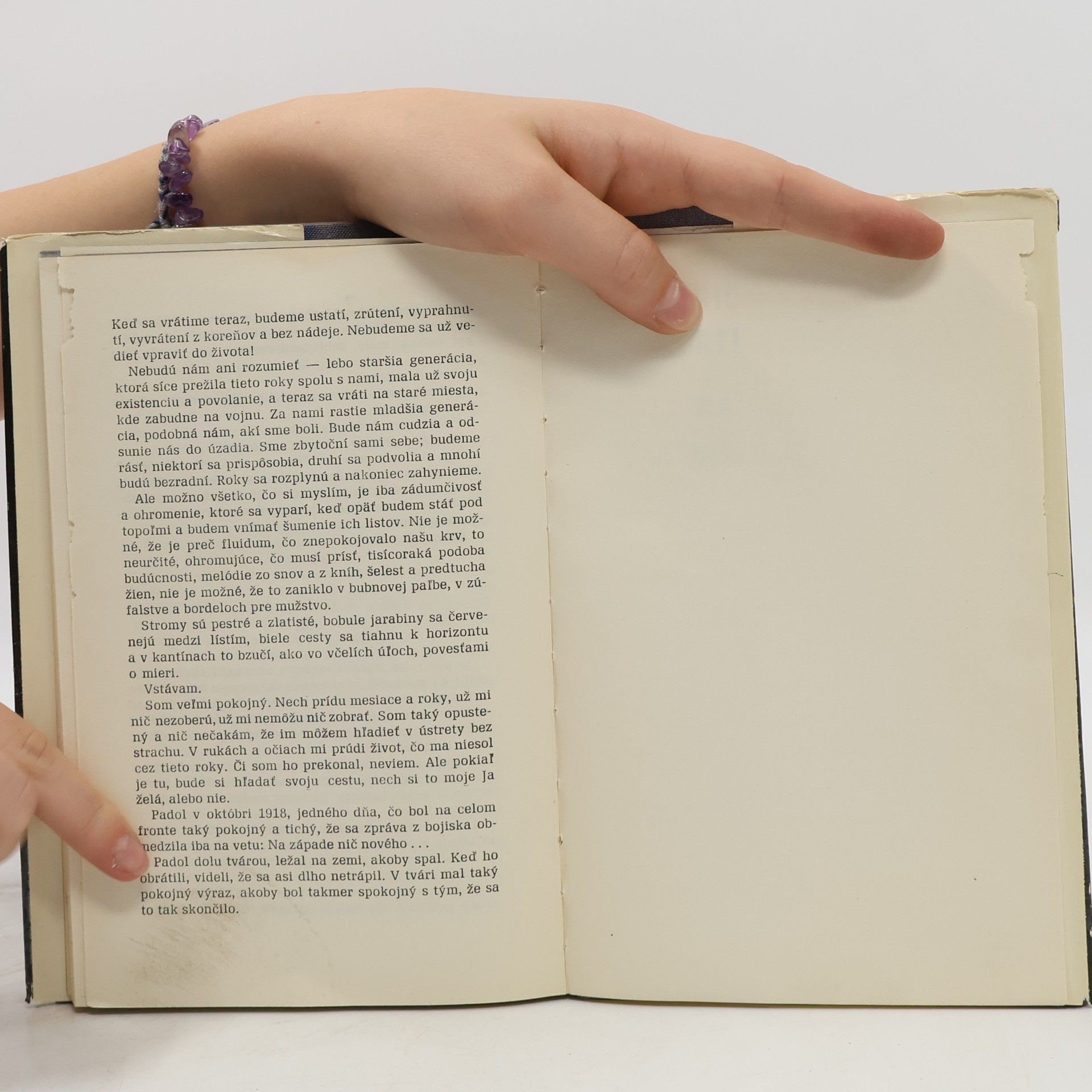Erich Maria Remarque Na západe nič nového