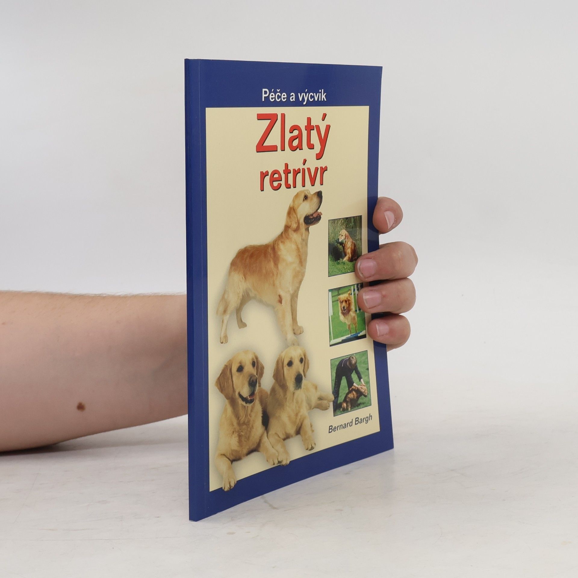 Bernard Bargh Zlatý retrívr