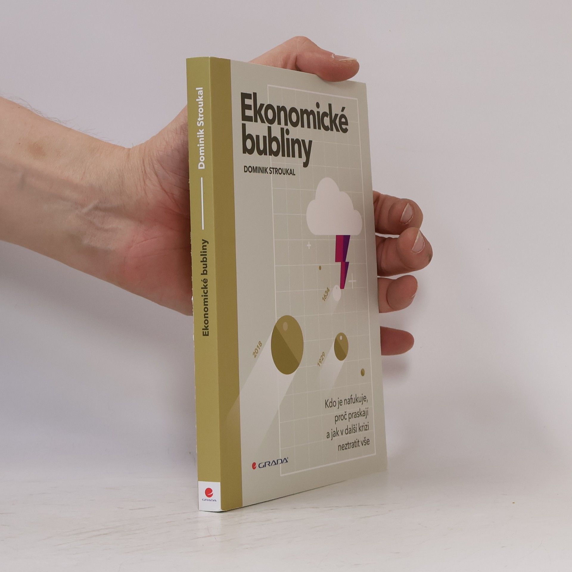 Dominik Stroukal Ekonomické bubliny