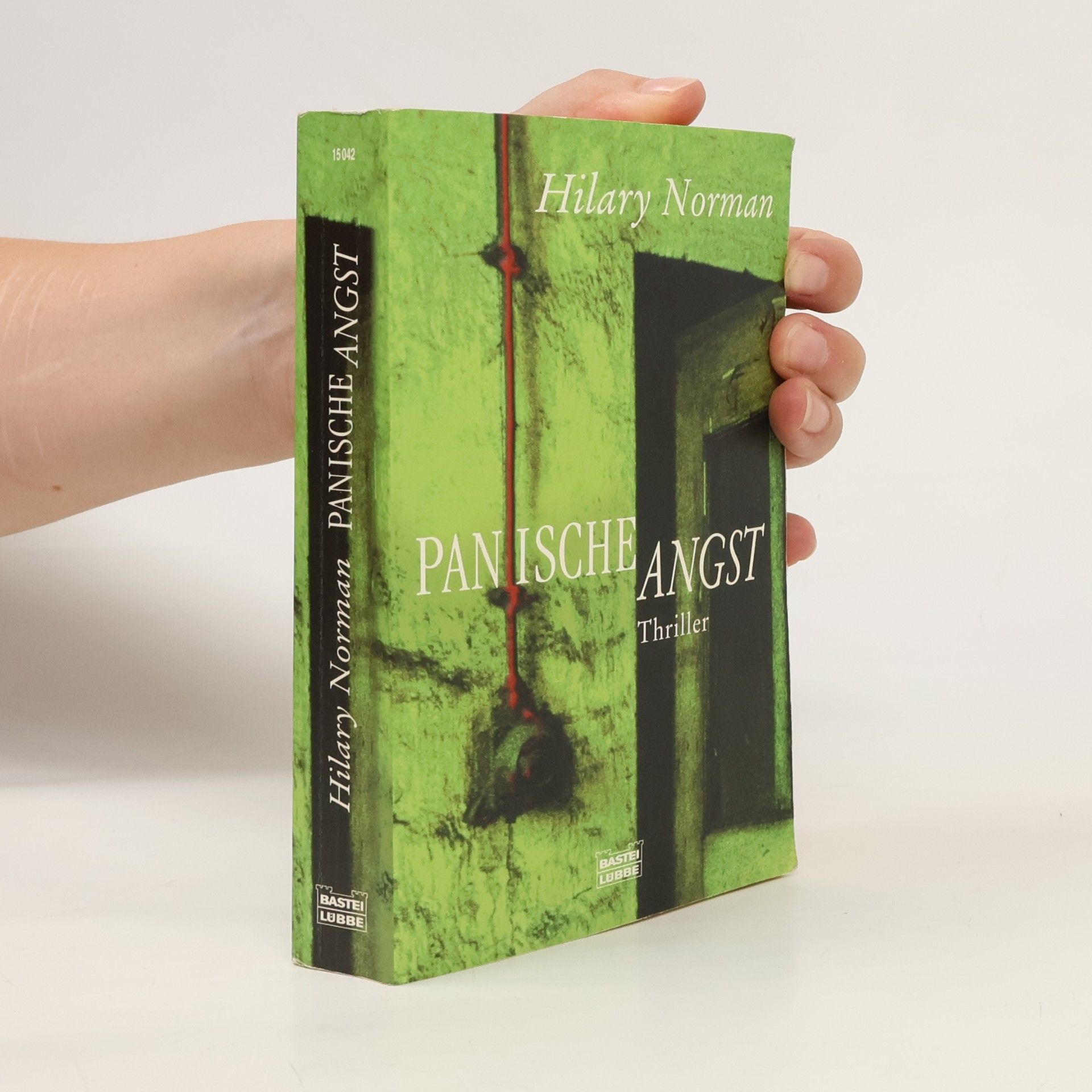 Hilary Norman Panische Angst