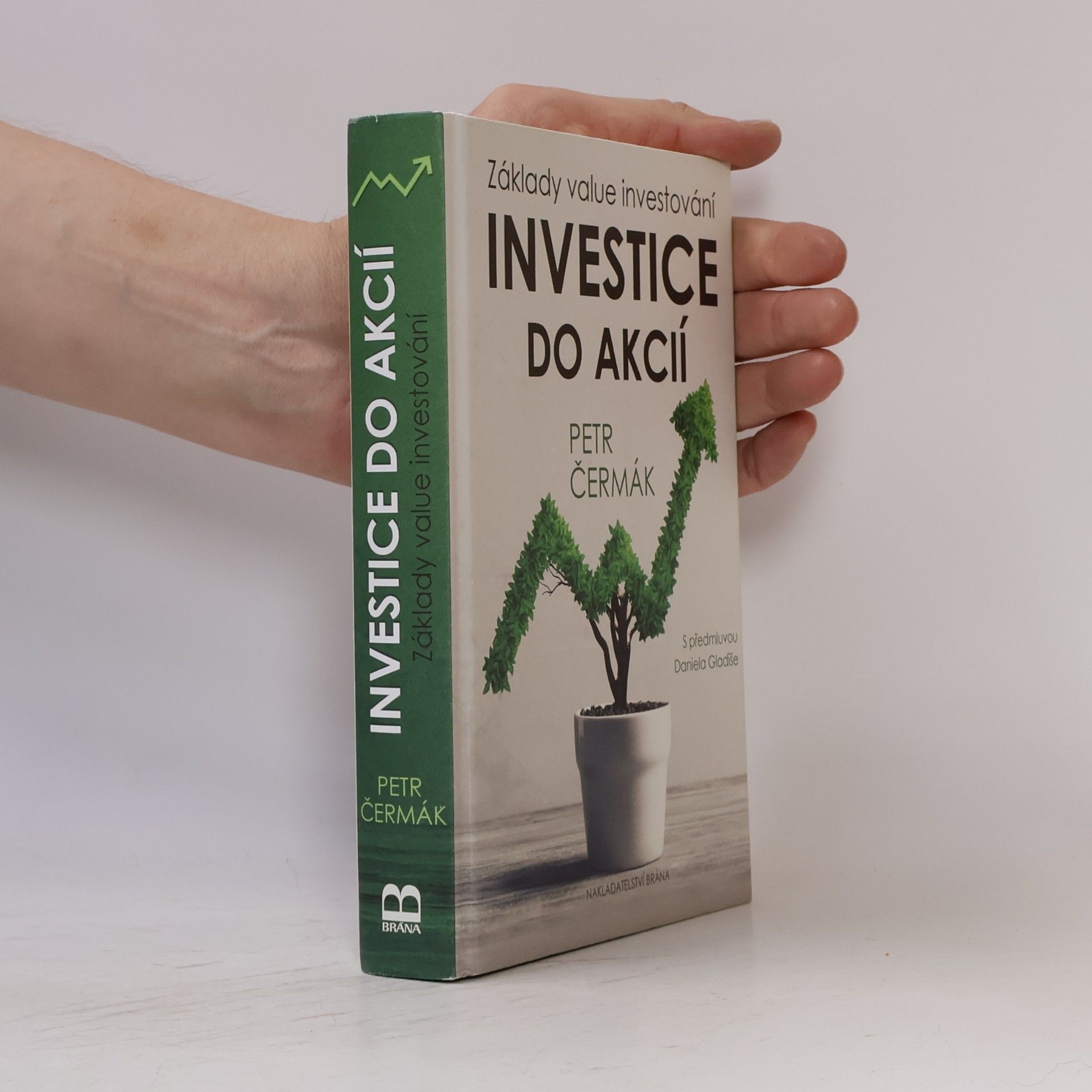 Petr Čermák Investice do akcií. Základy value investování