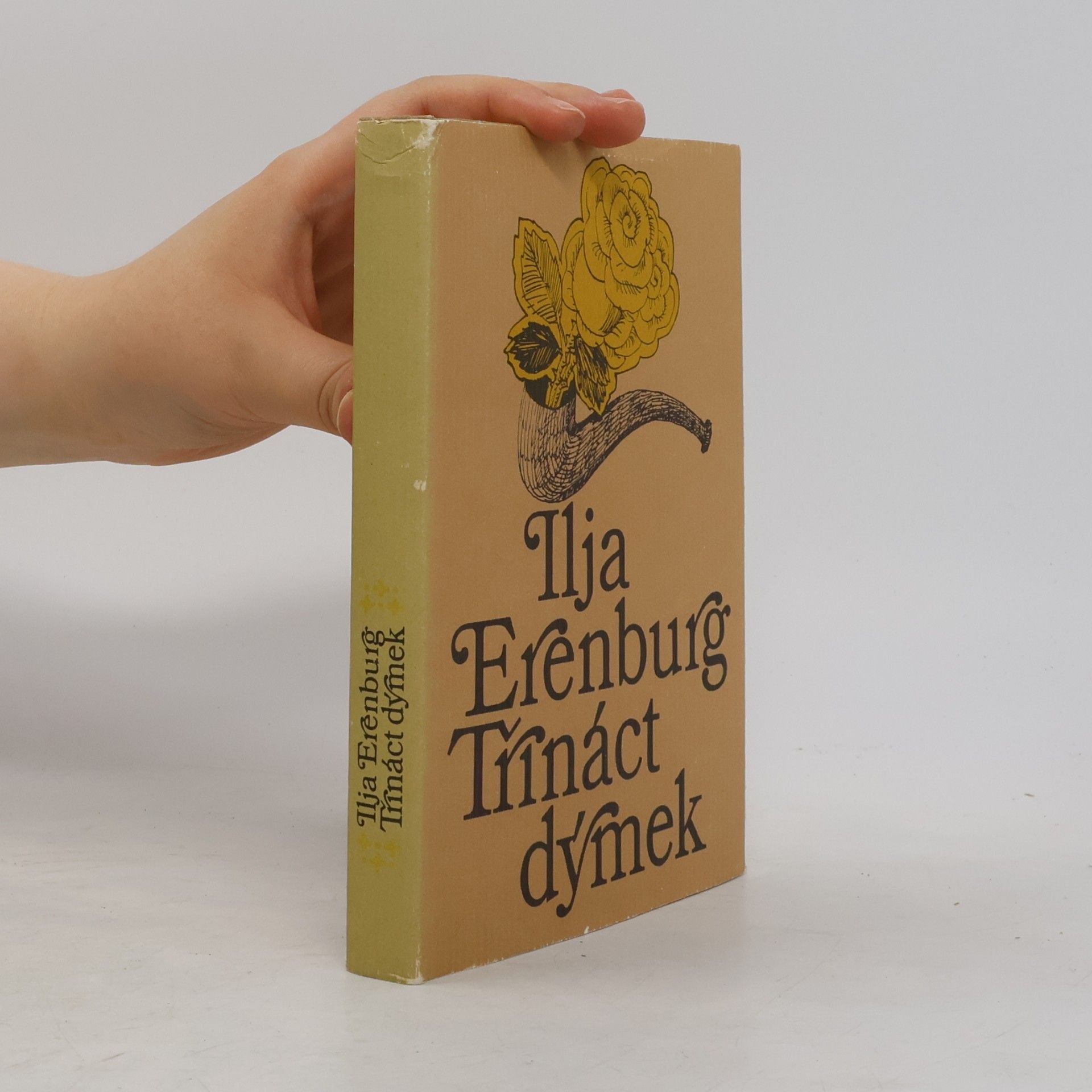 Илья Григорьевич Эренбург Třináct dýmek