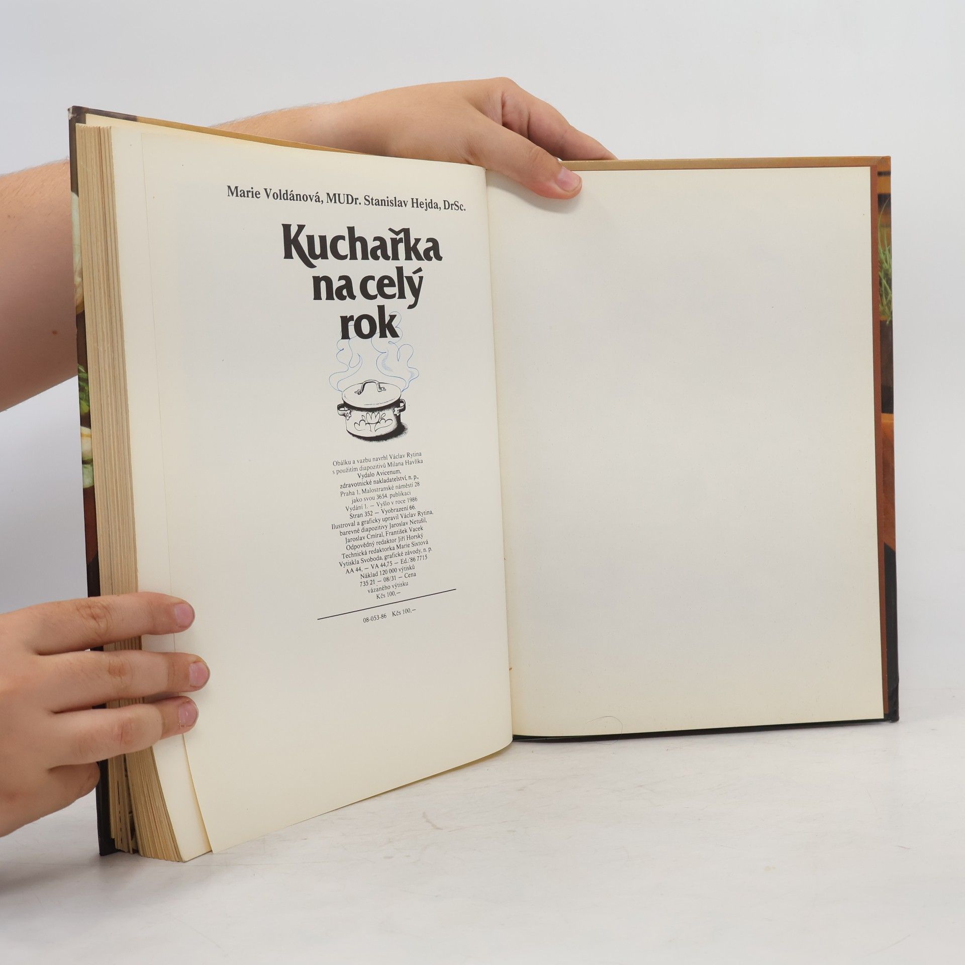 Marie Voldánová Kuchařka na celý rok
