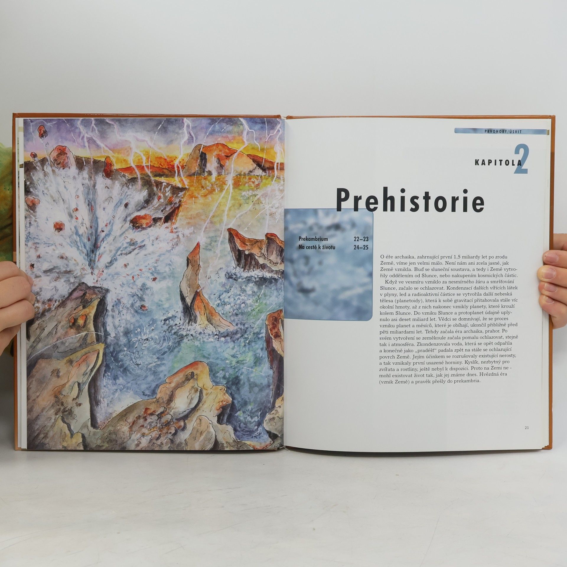 Collectif d'auteurs Dinosauři