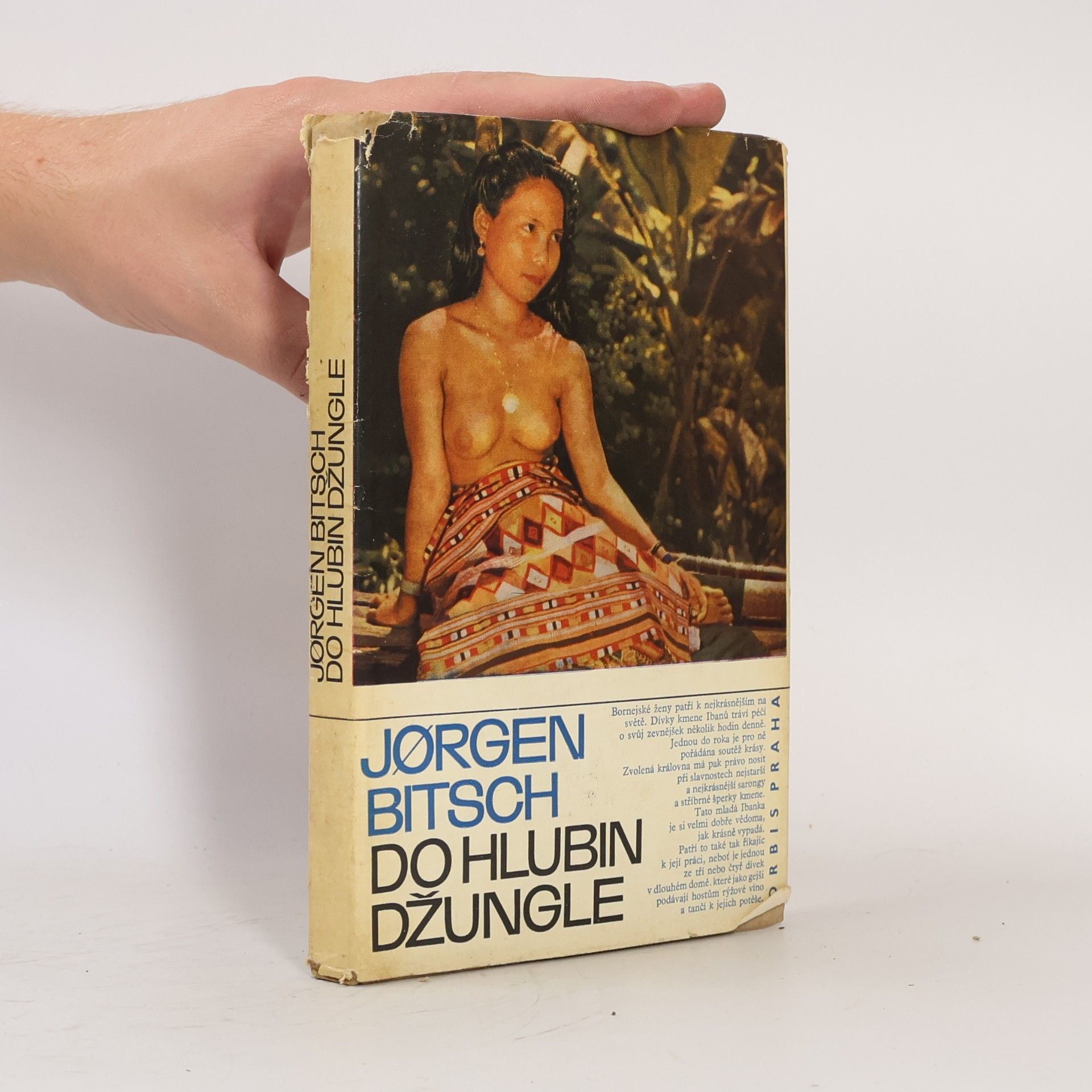 Jørgen Bitsch Do hlubin džungle