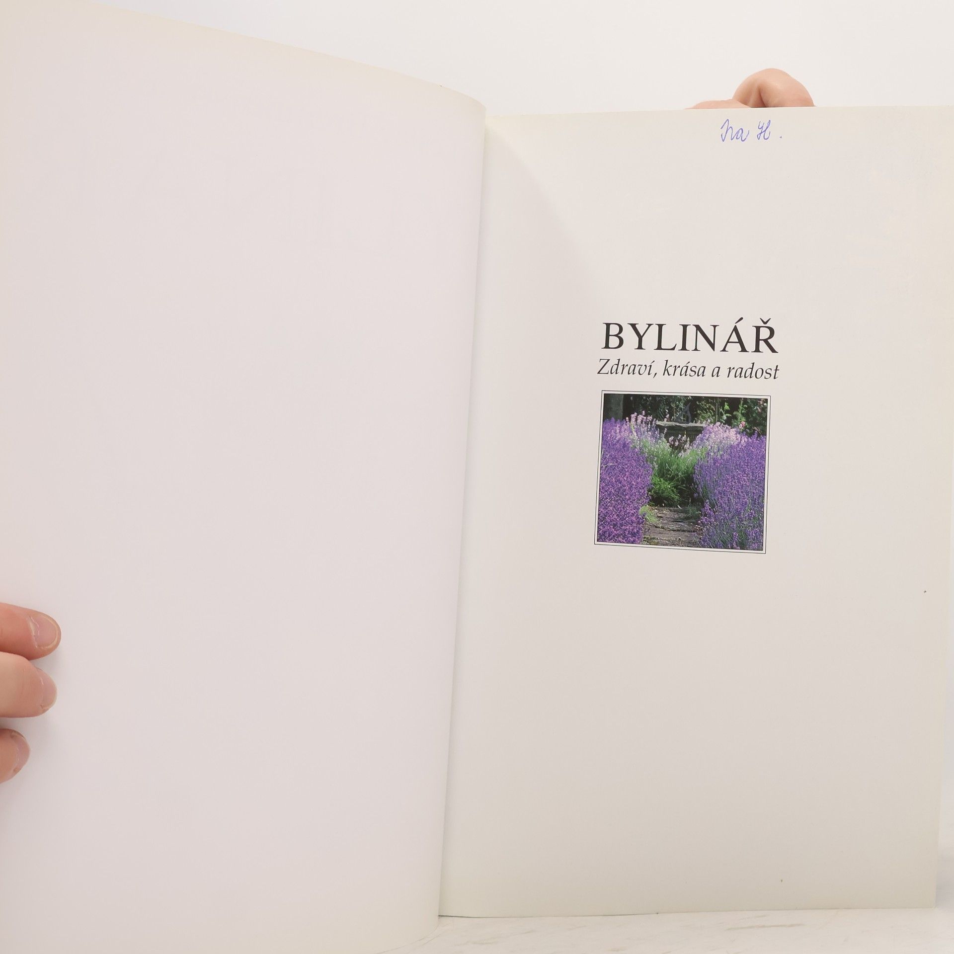 Lesley Bremness Bylinář
