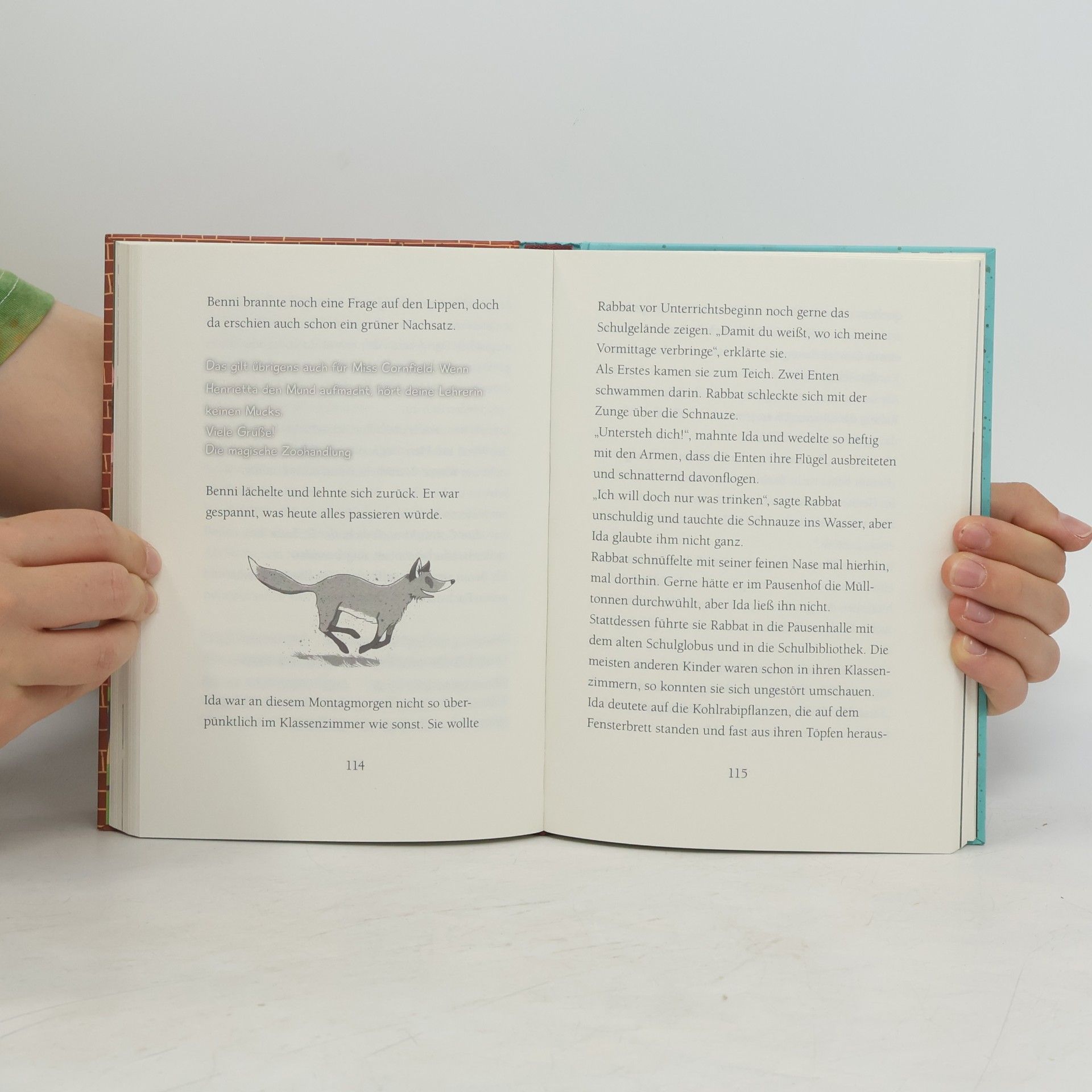 Margit Auer Die Schule der magischen Tiere 1