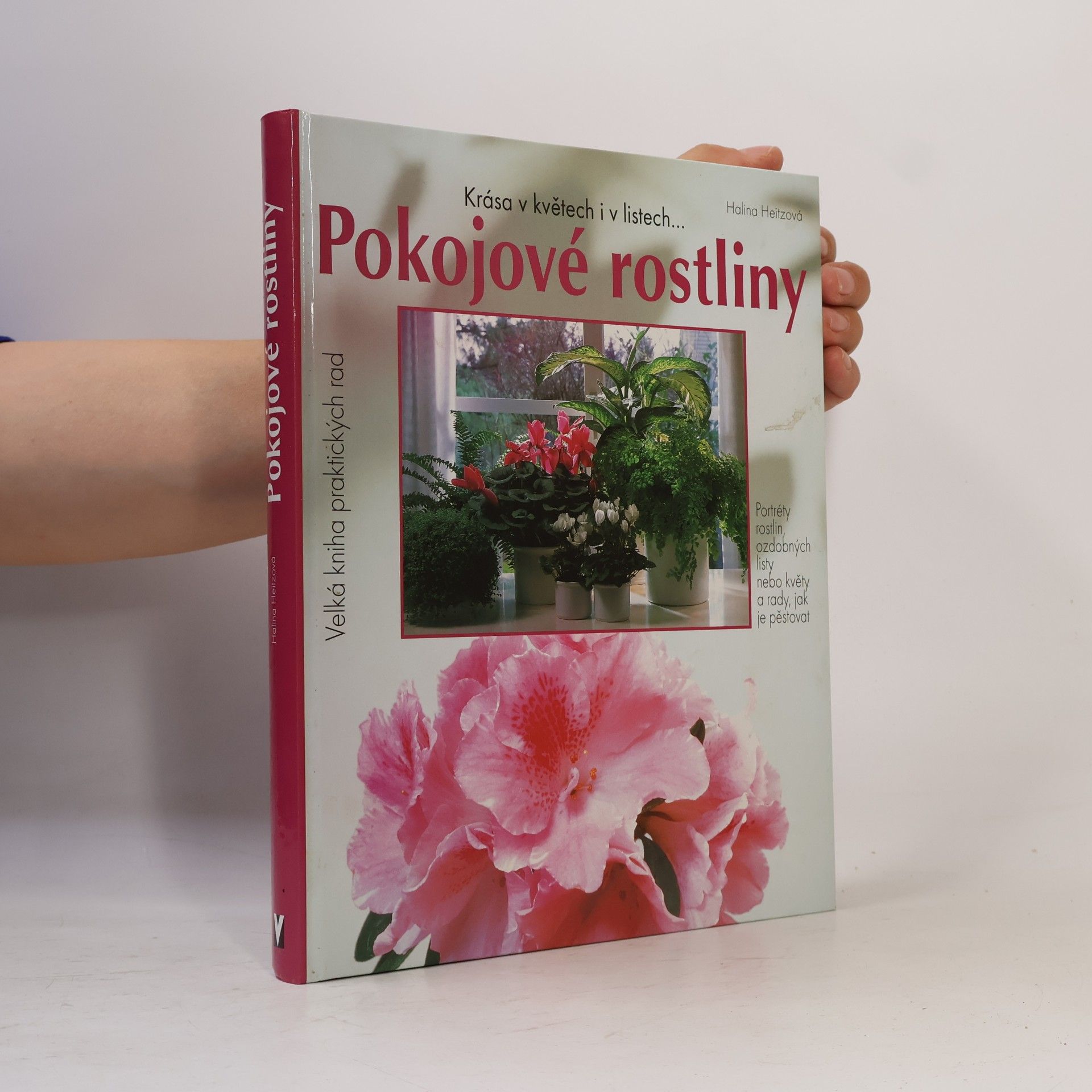 Halina Heitz Pokojové rostliny