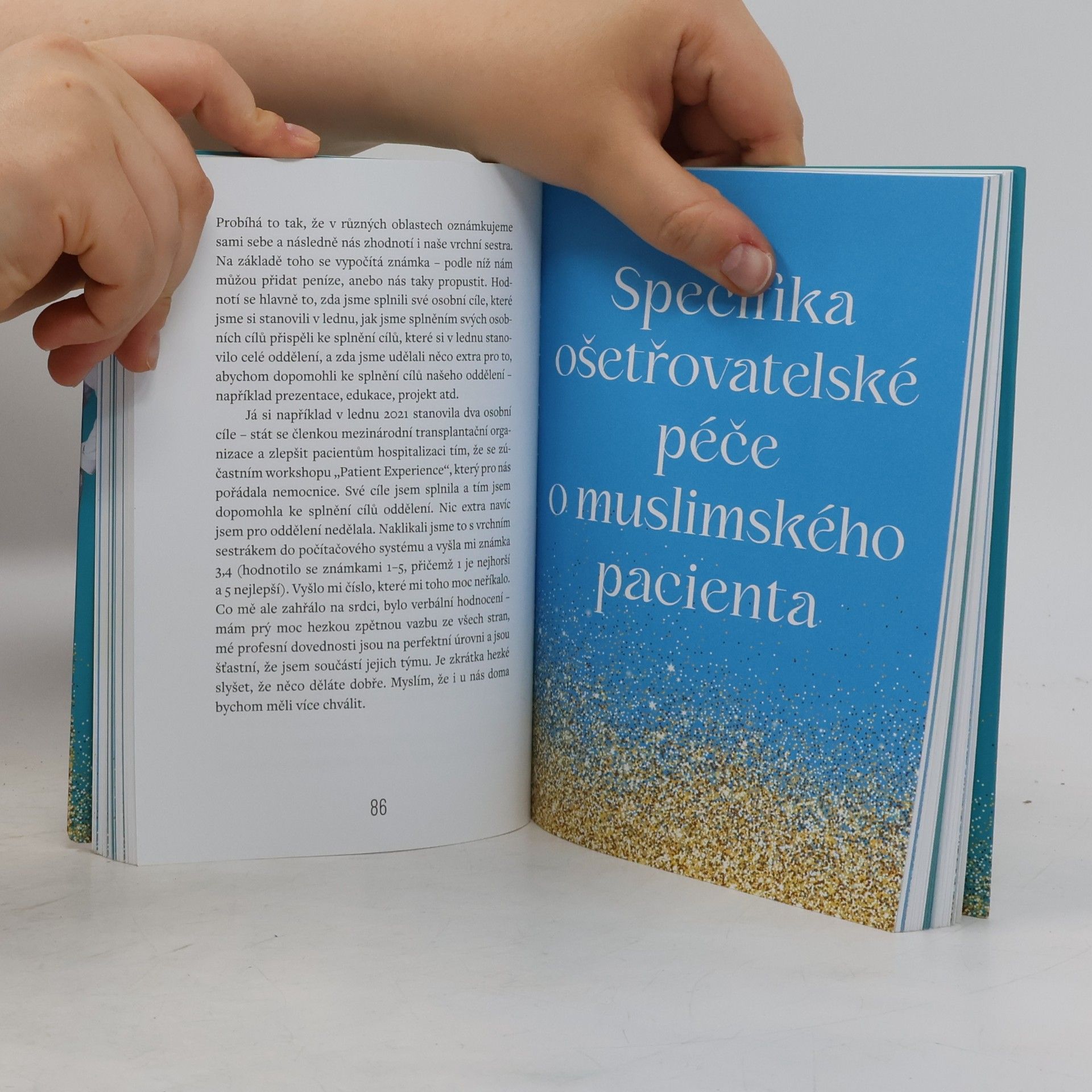 Hana Šlechtová Nejsem jenom sestra. Má práce a život v Saúdské Arábii