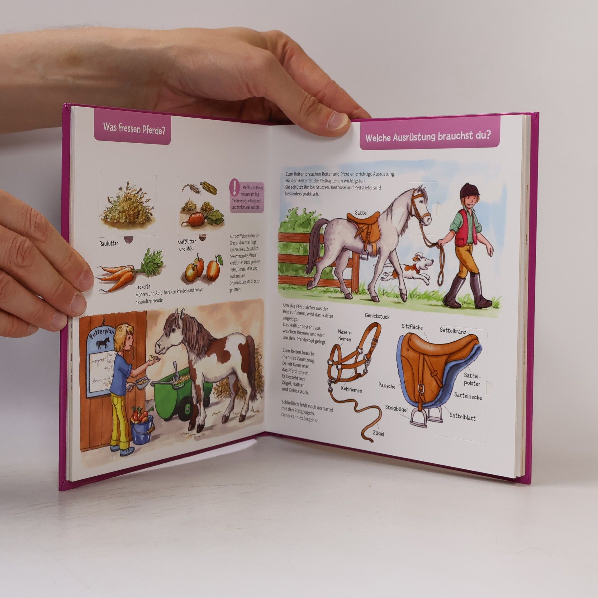 Uschi Heusel Das große Klappenbuch - Pferde und Ponys