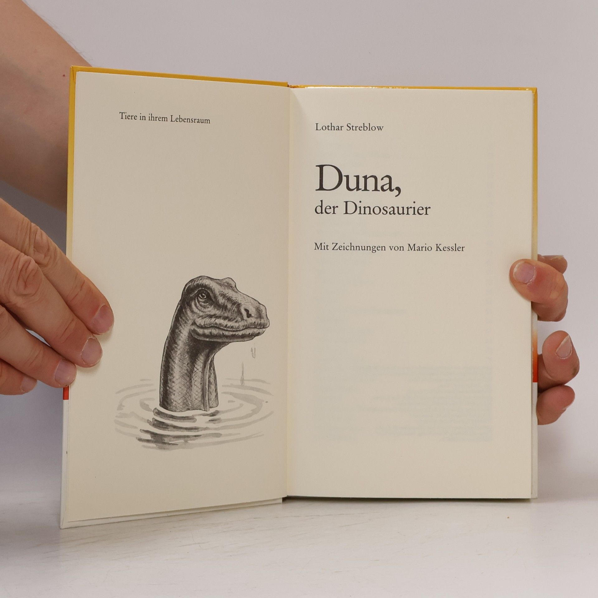 Lothar Steblow Duna der Dinosaurier