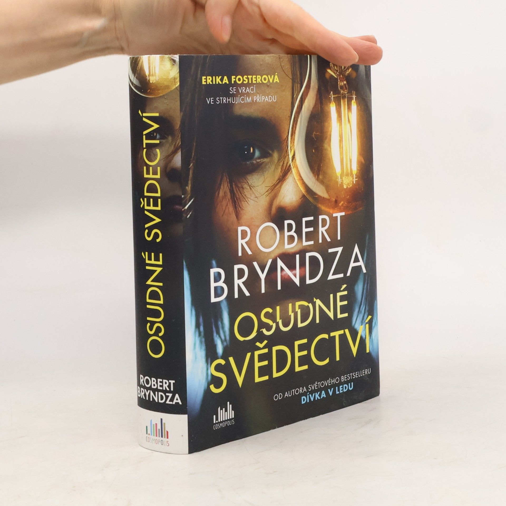 Robert Bryndza Osudné svědectví