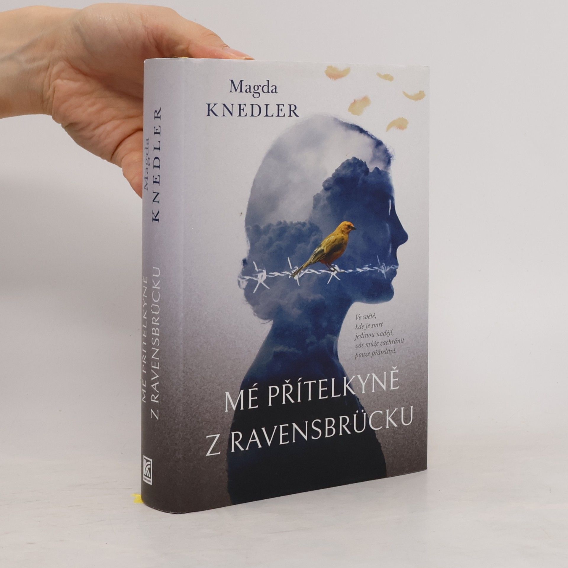Magdalena Knedler Mé přítelkyně z Ravensbrücku