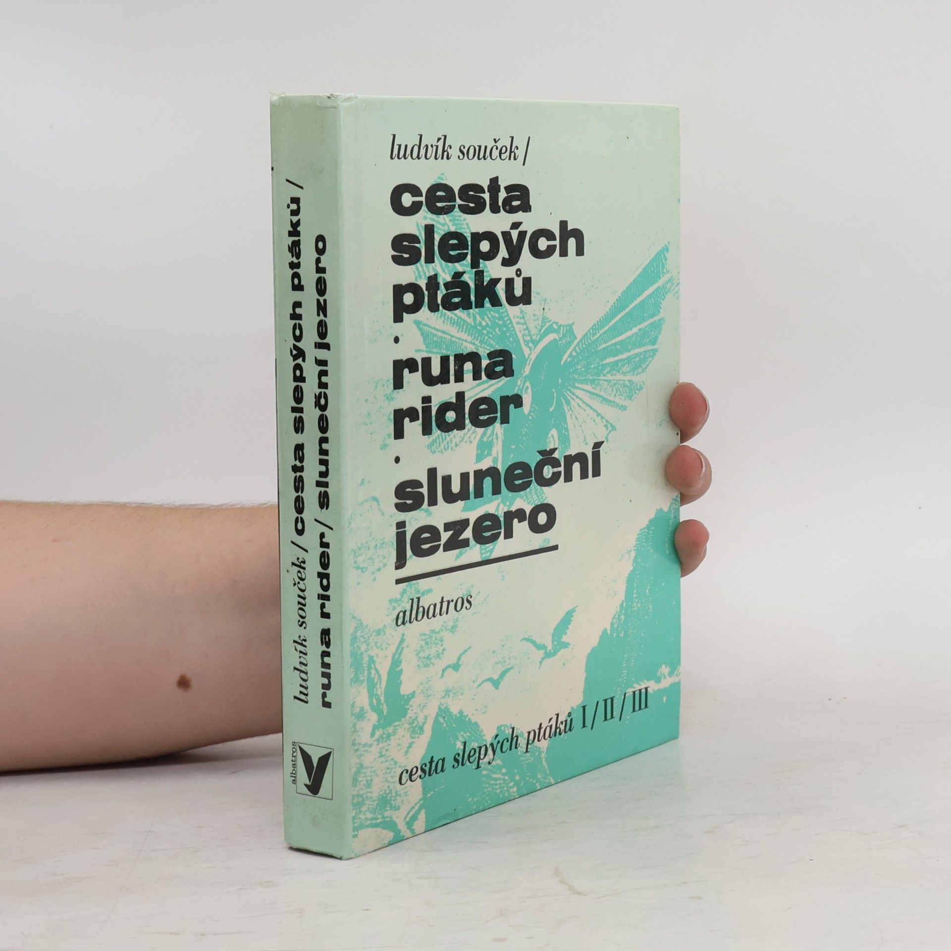 Ludvík Souček Cesta slepých ptáků. Runa rider. Sluneční jezero