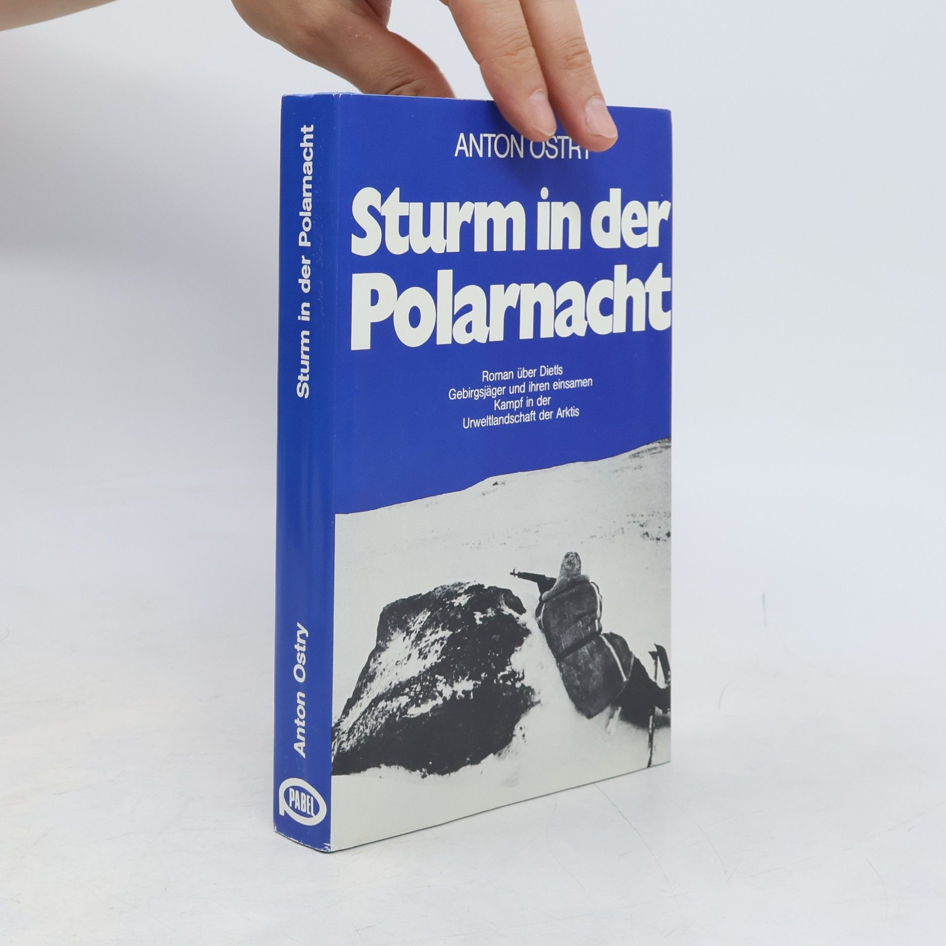 Anton Ostry Sturm in der Polarnacht