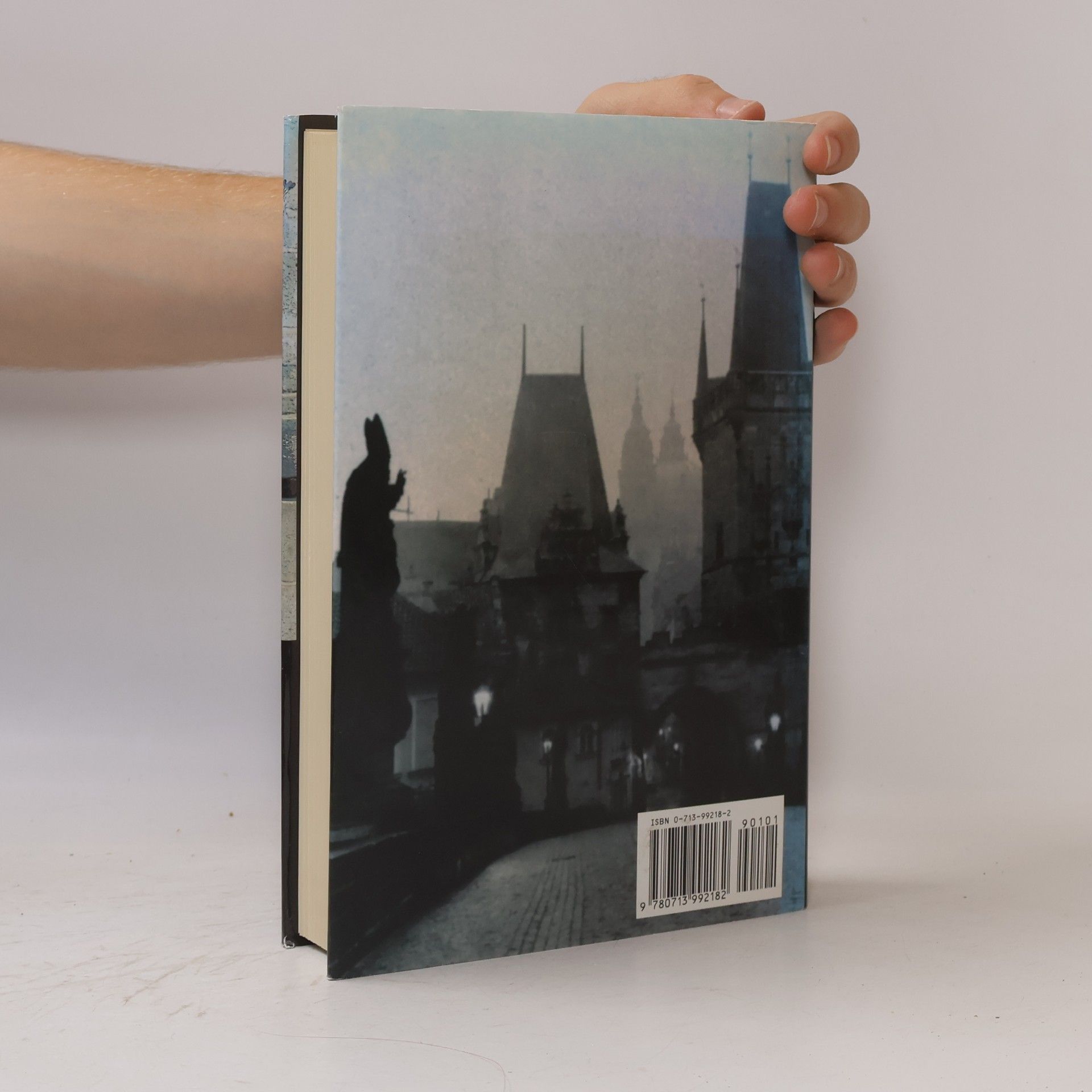 Peter Demetz Prague in black and gold. The history of a city