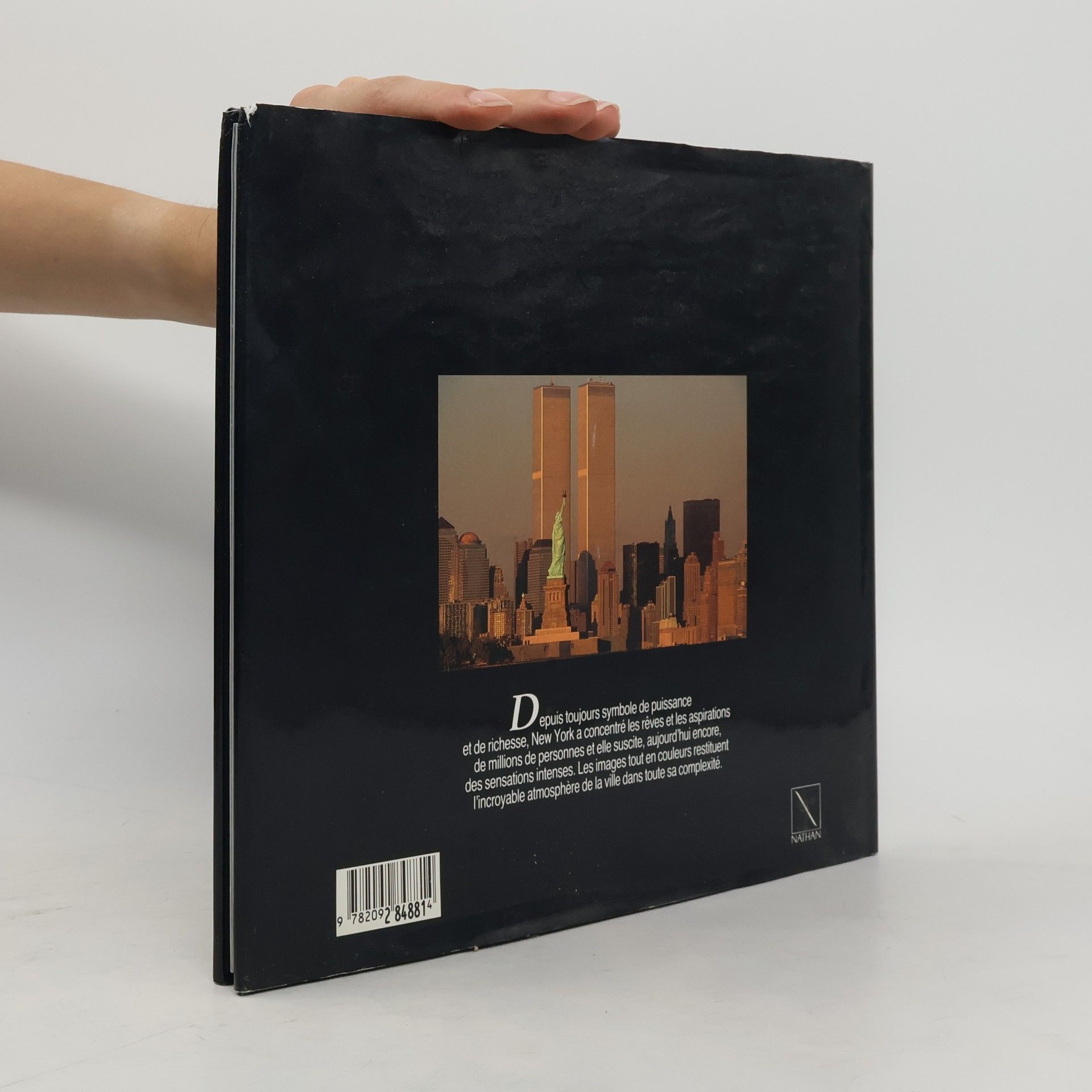 Paolo Fontana Les jours et les nuits de New York