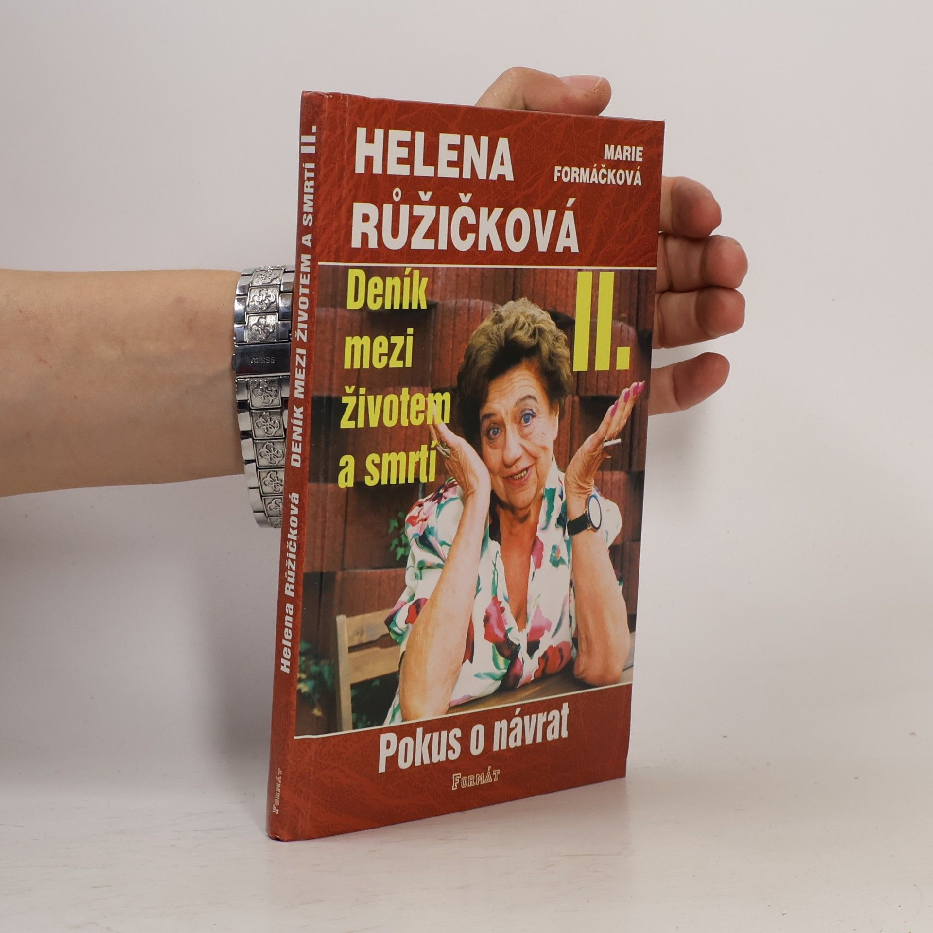 Marie Formáčková Deník mezi životem a smrtí. II., Pokus o návrat