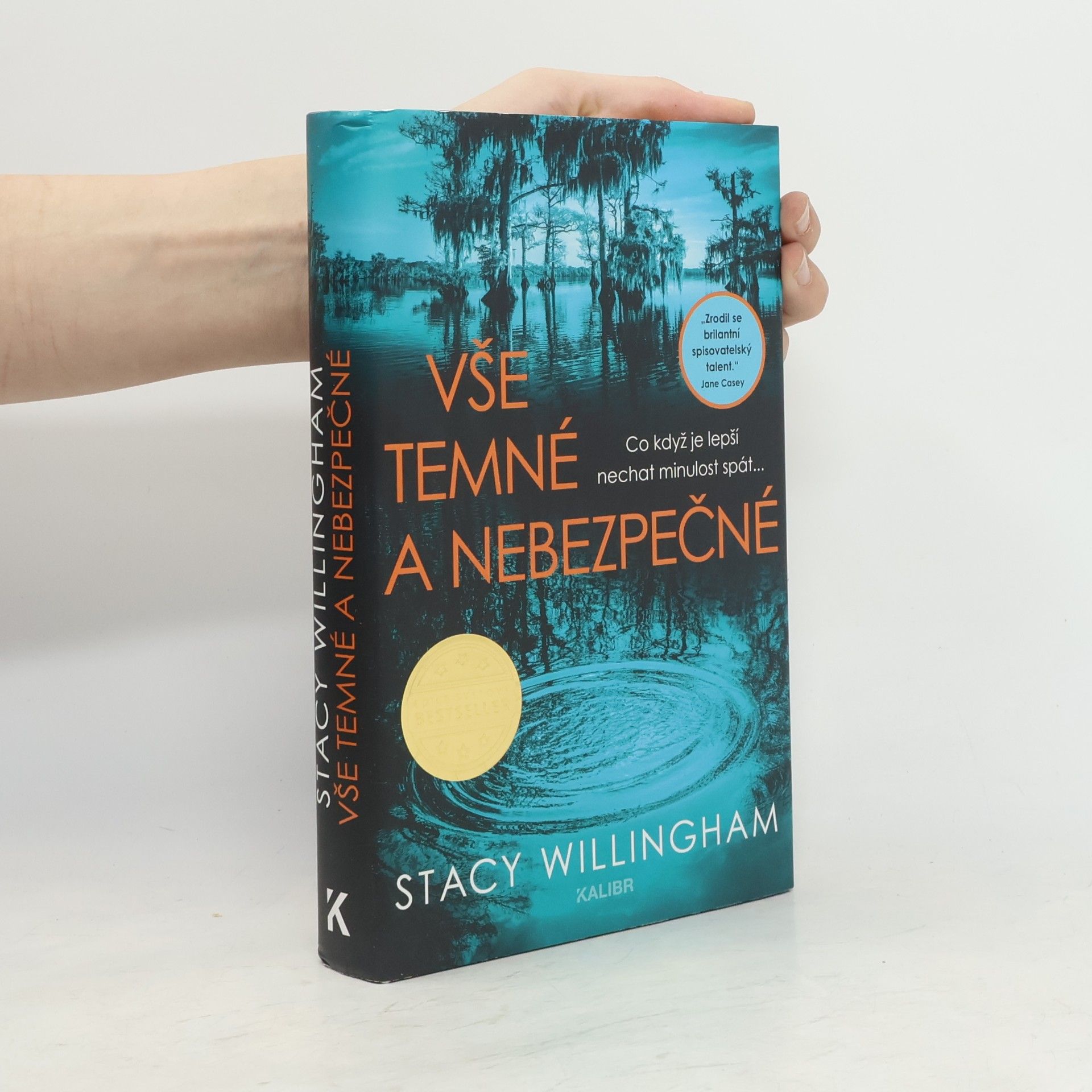 Stacy Willingham Vše temné a nebezpečné