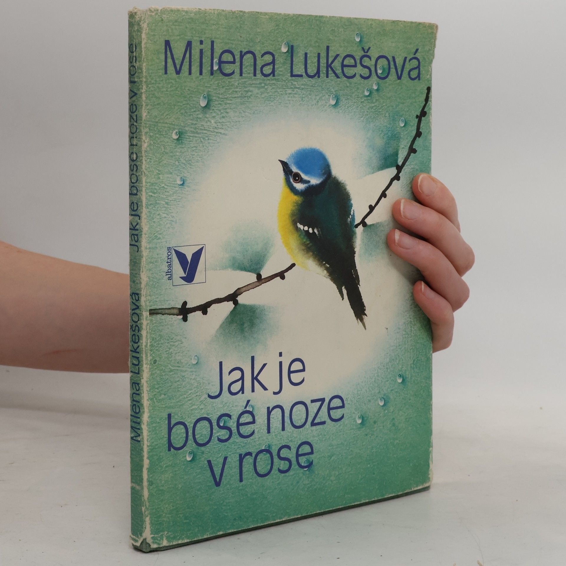 Jitka Walterová Jak je bosé noze v rose