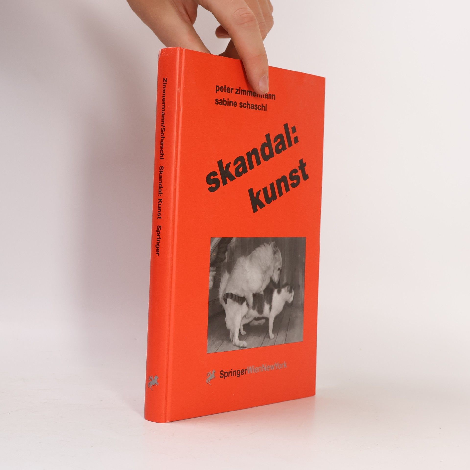 Klaus-Peter Zimmermann Skandal: Kunst
