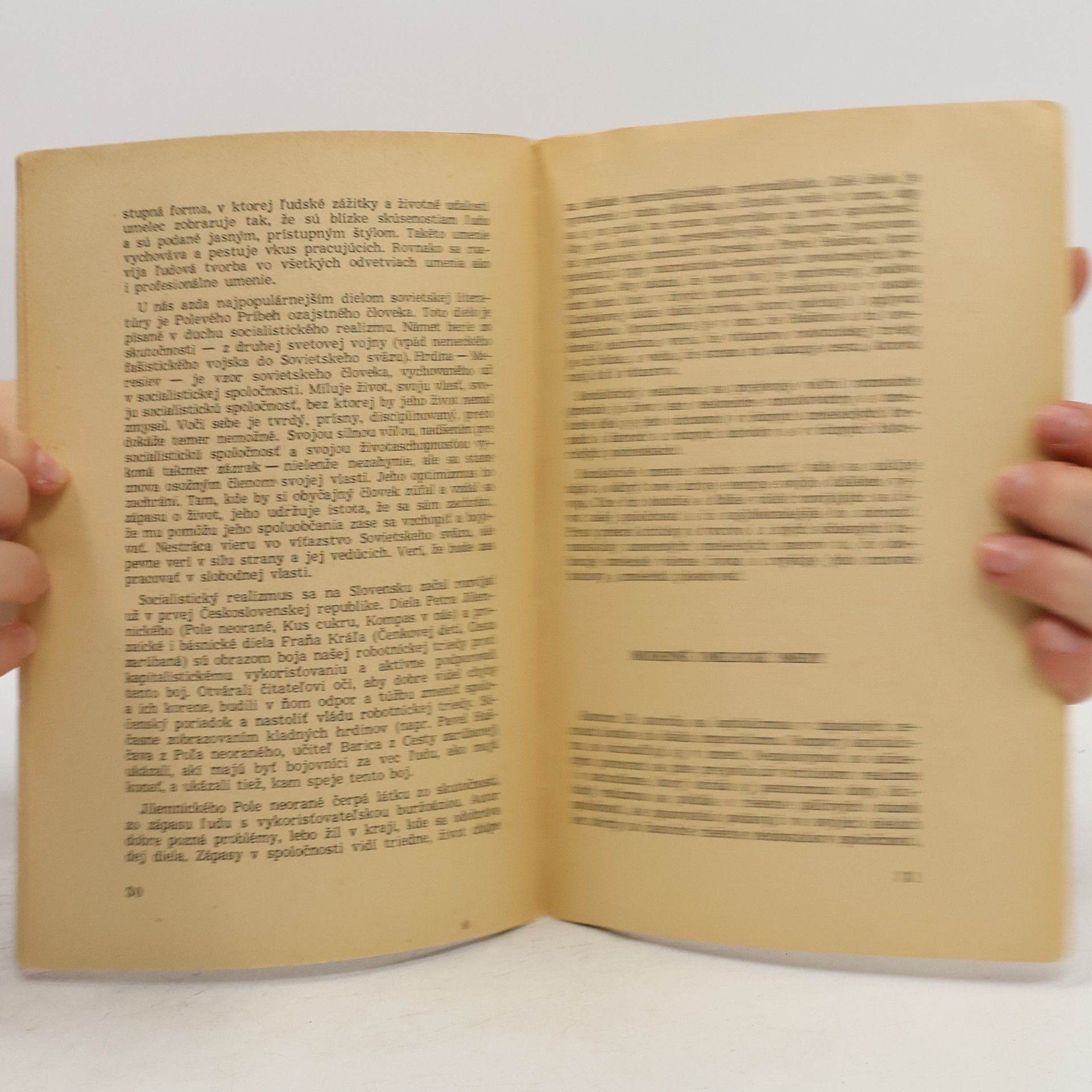 Collectif d'auteurs Základy teórie literatúry