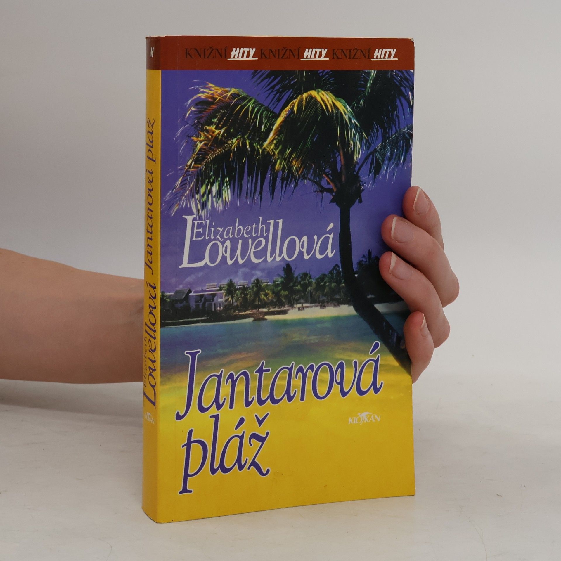 Elizabeth Lowell Jantarová pláž