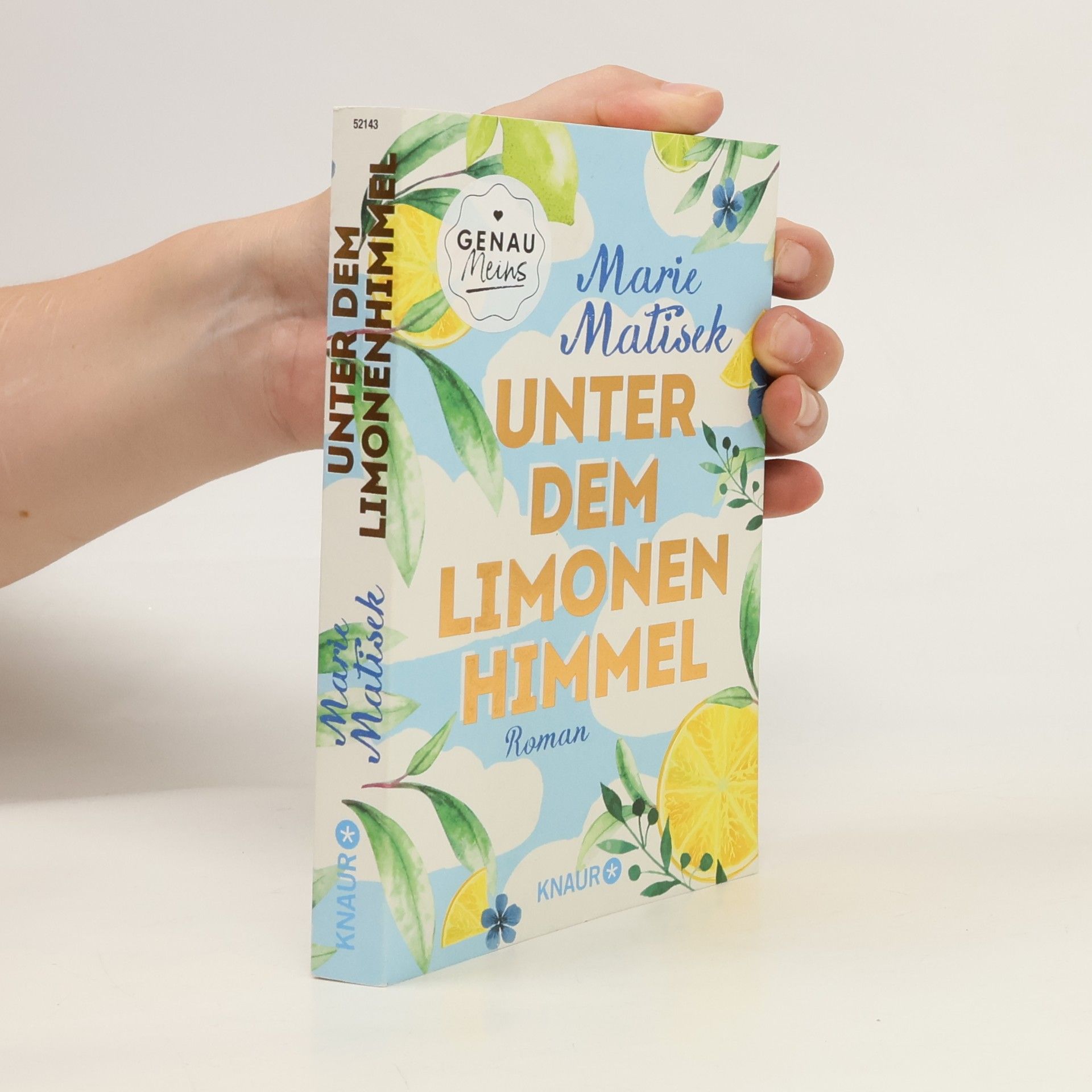 Marie Matisek Unter dem Limonenhimmel