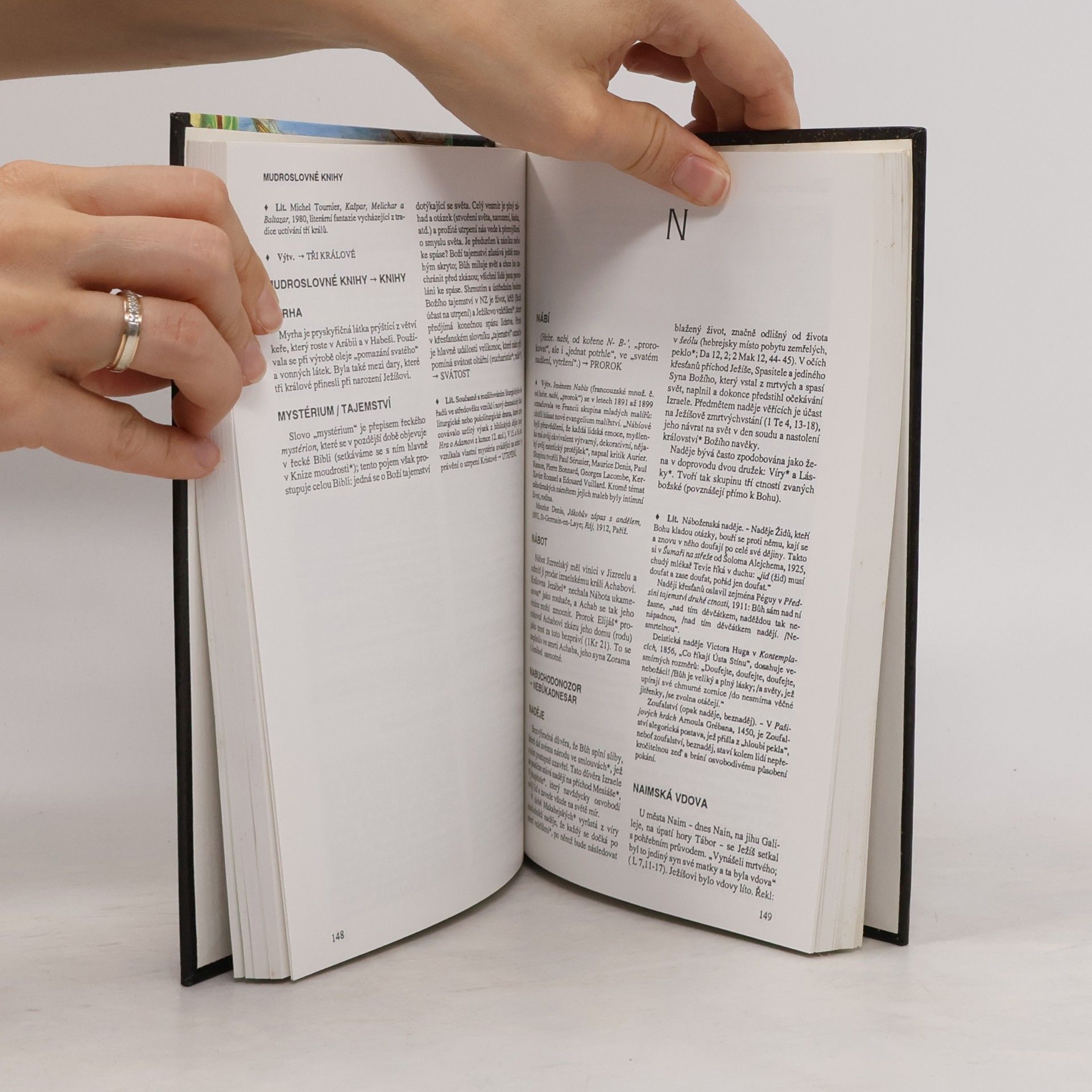 Autorenkollektiv Slovník biblické kultury