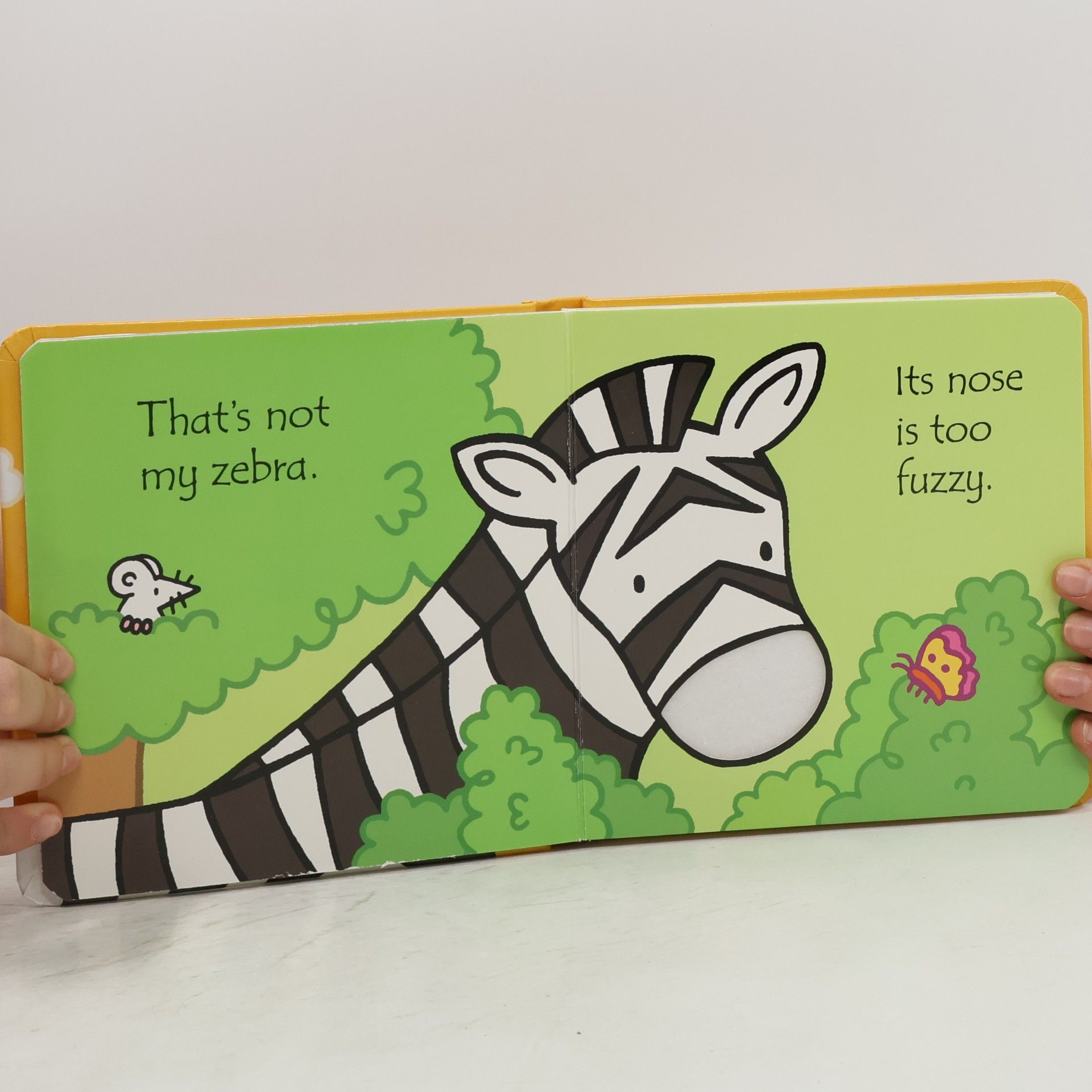 Fiona Watt That's Not My Zebra