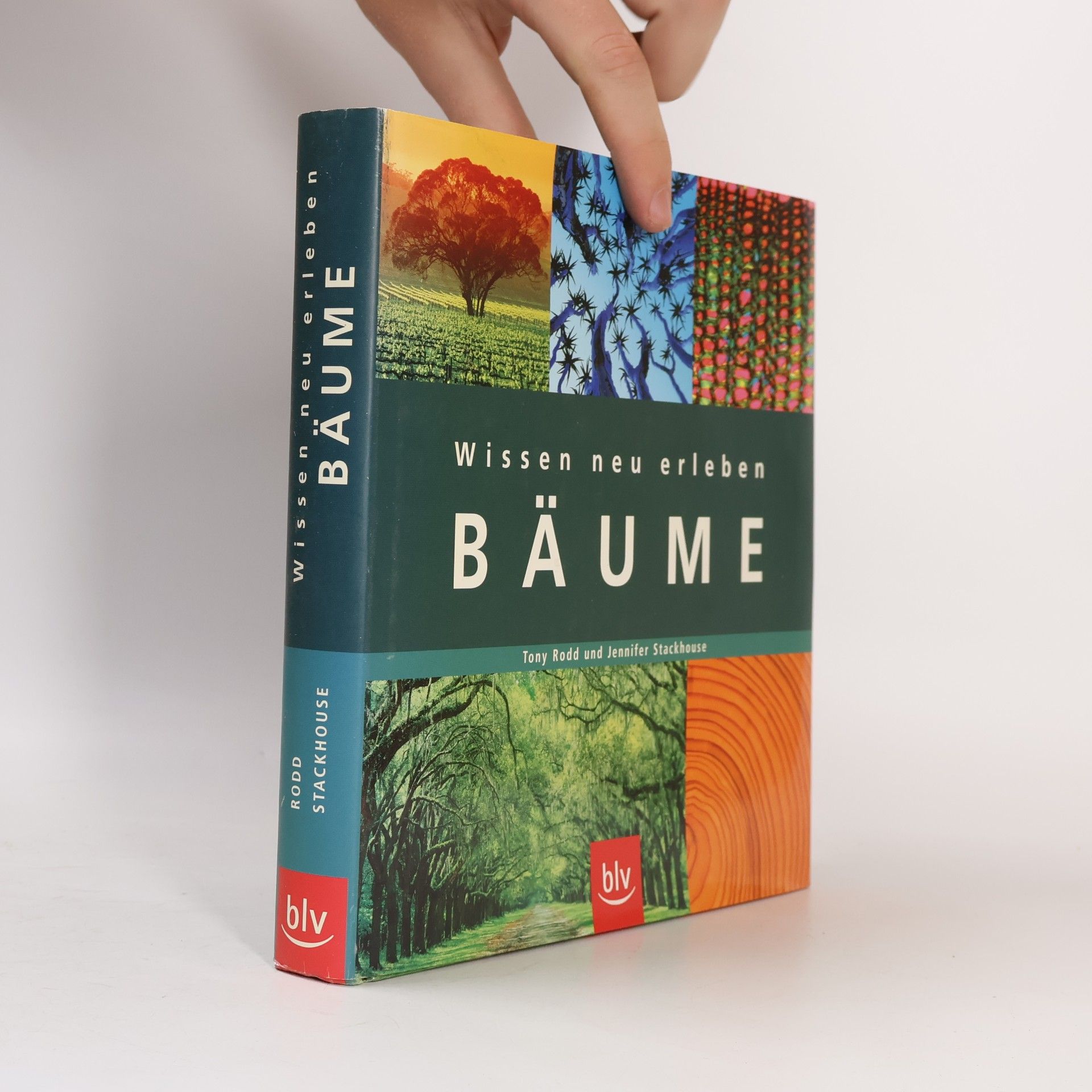 Tony Rodd Wissen neu erleben: Bäume
