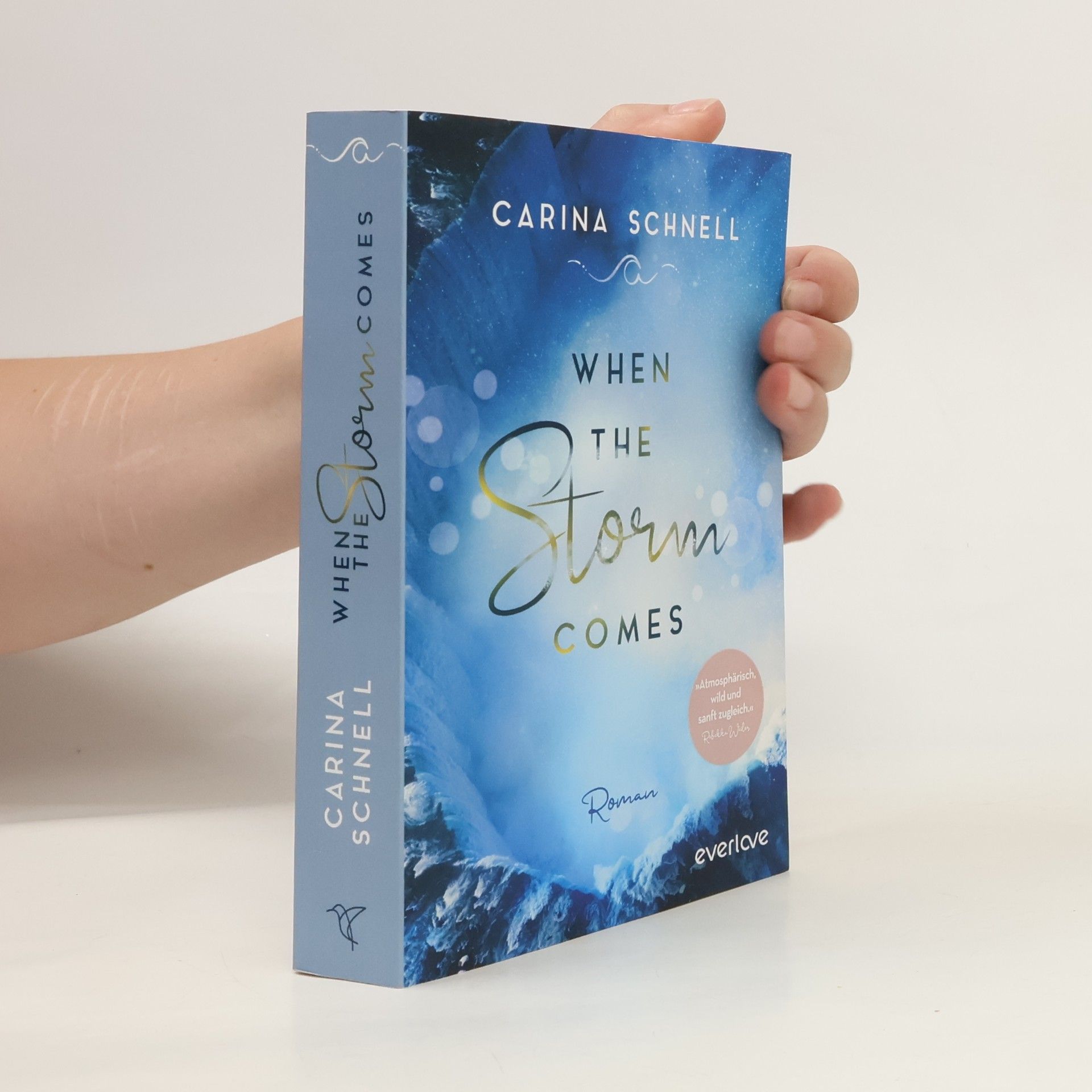 Karina Schnell When the storm comes