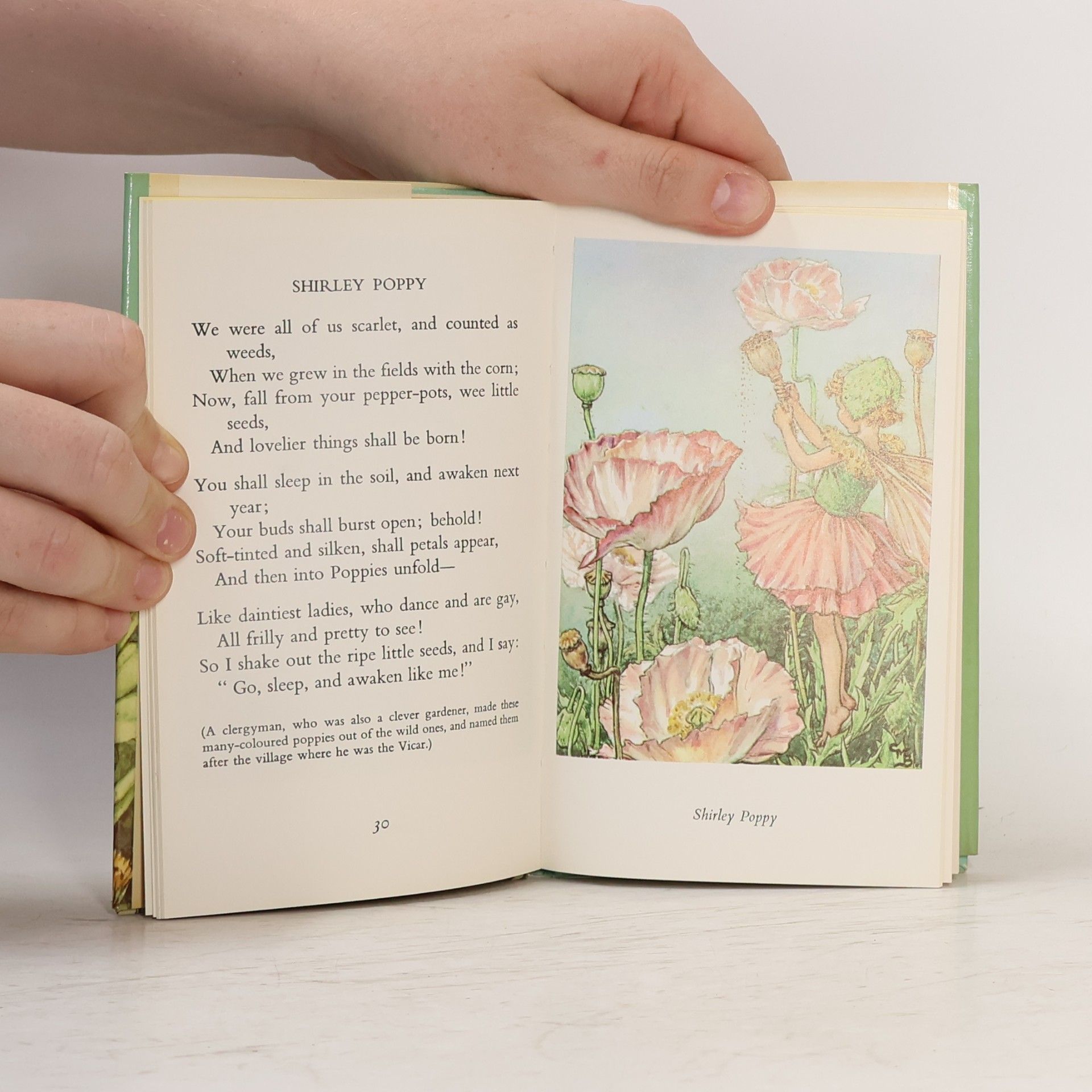 Cicely M. Barker Flower Fairies of the Garden