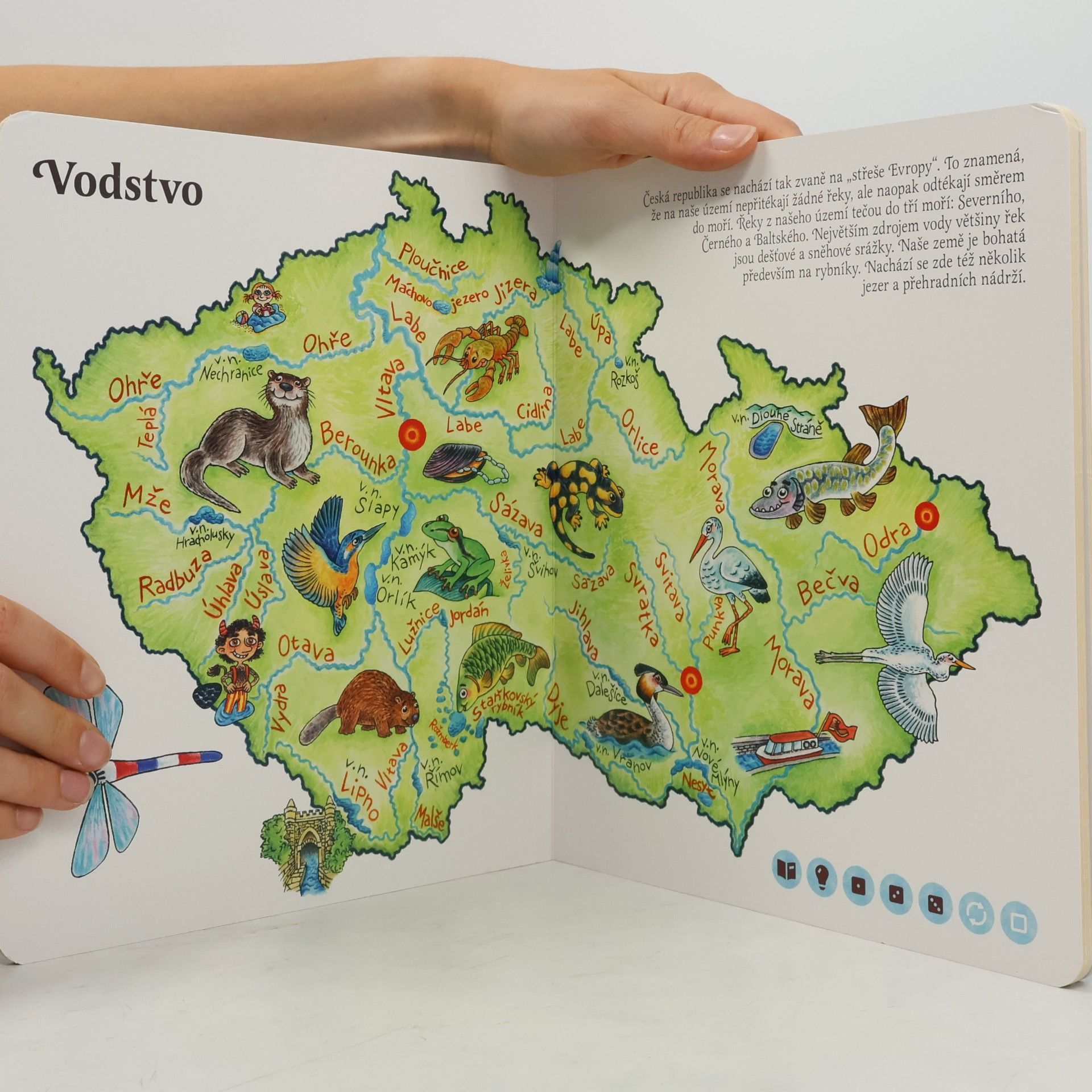 Autorenkollektiv Albi kouzelné čtení. Česká republika